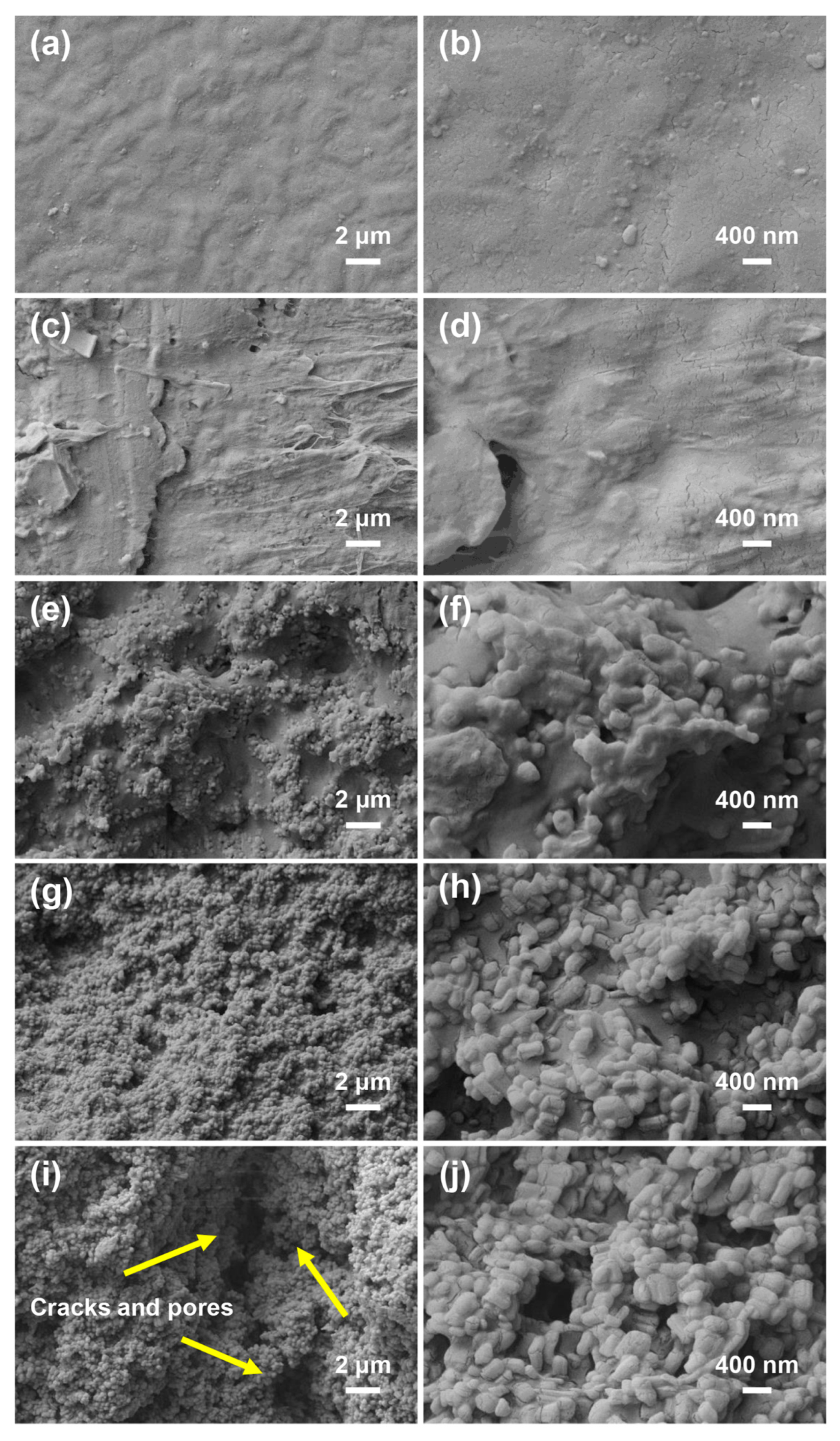 Coatings 13 00569 g002