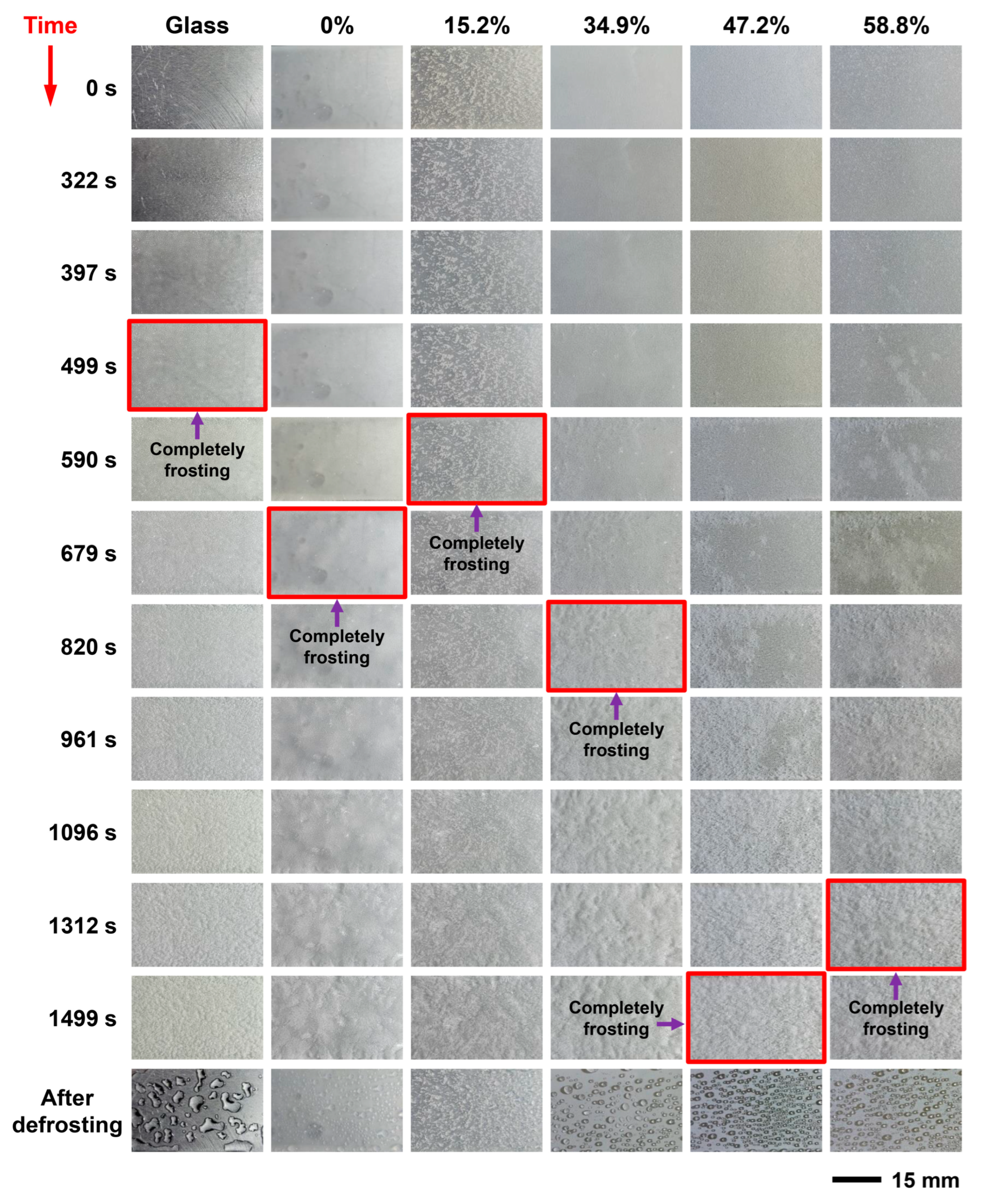 Coatings 13 00569 g005