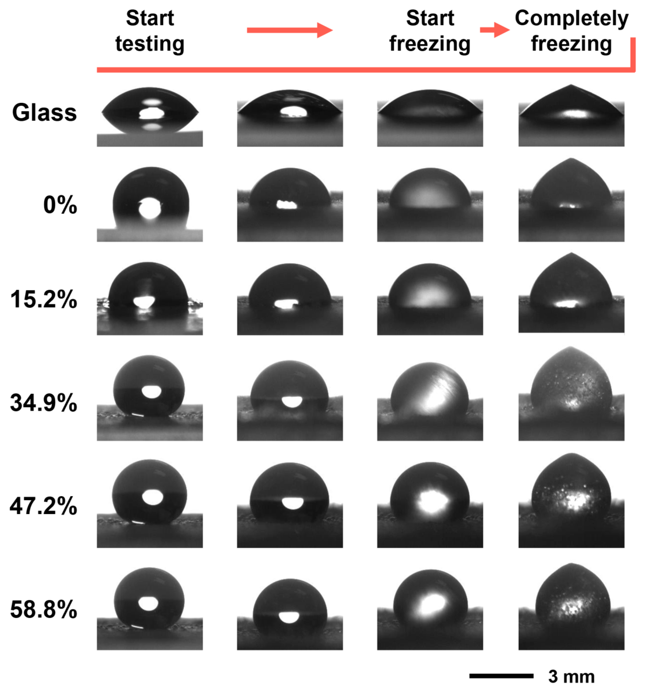 Coatings 13 00569 g006