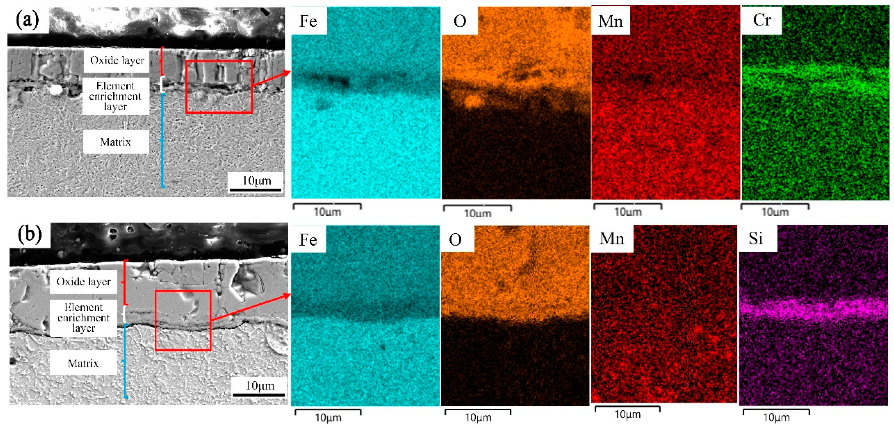 Coatings 13 00570 g005