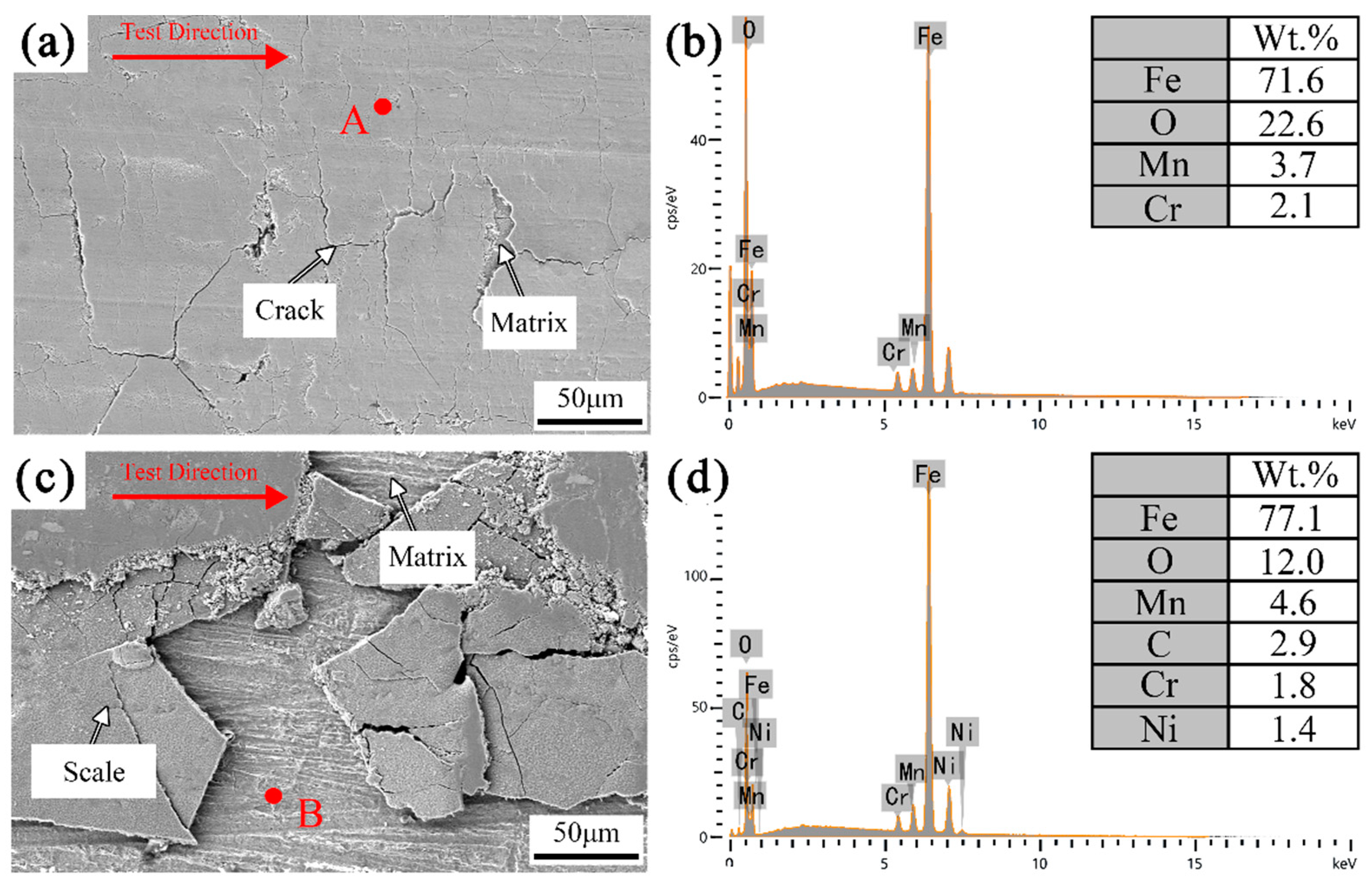 Coatings 13 00570 g008