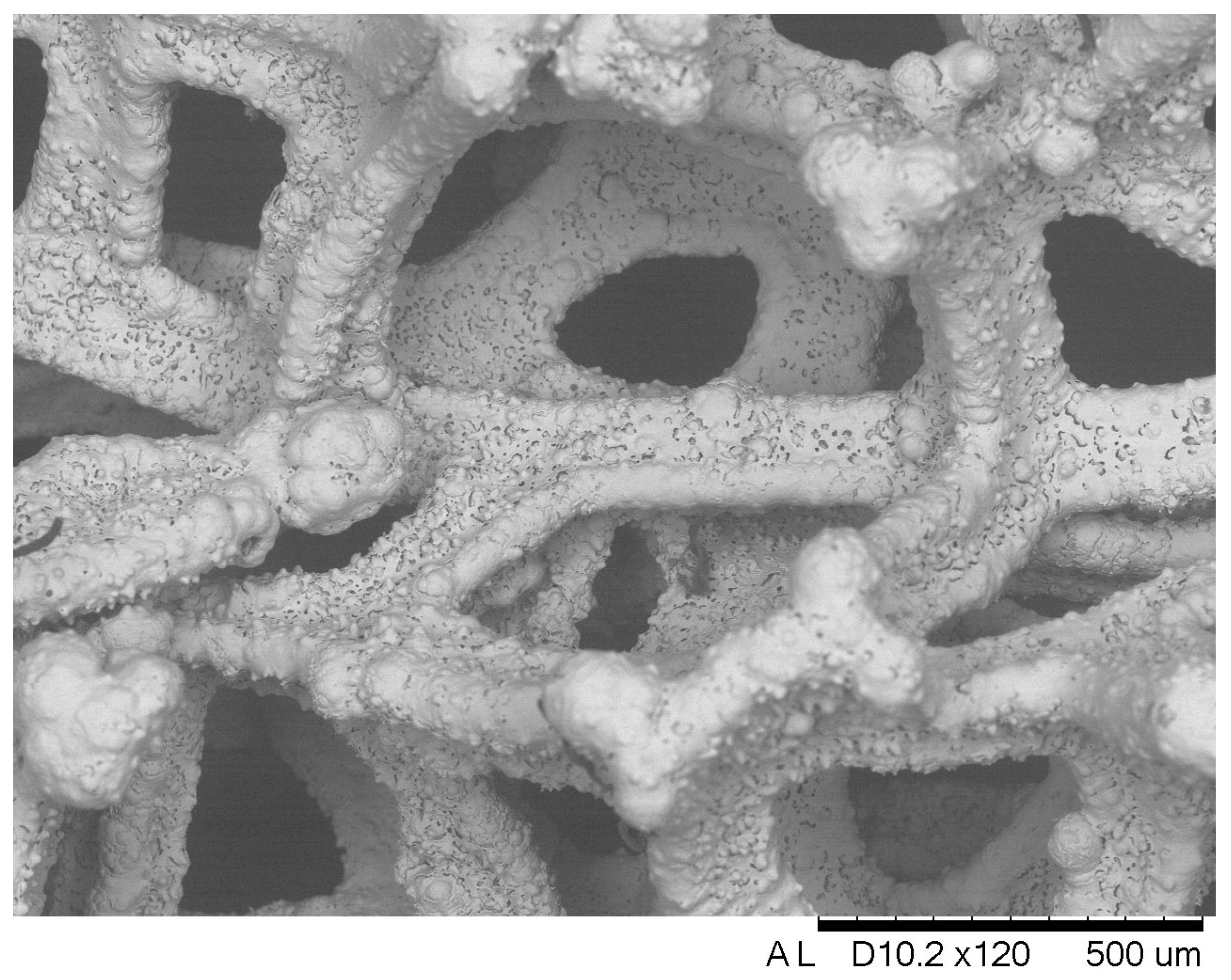 Coatings 13 00574 g002 Coatings 13 00574 g002