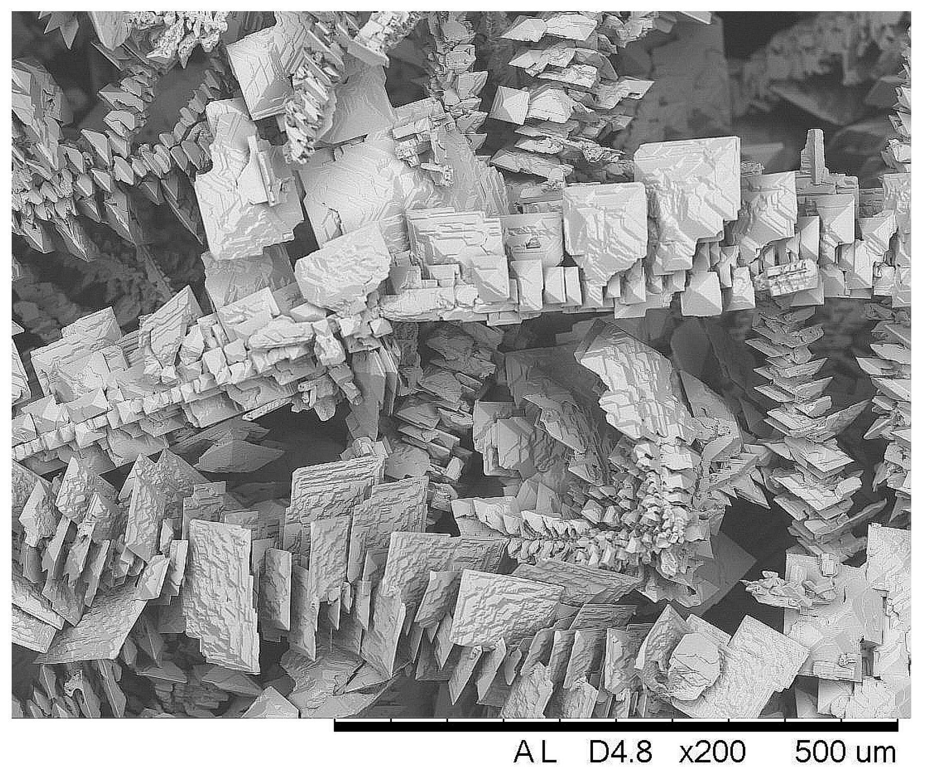 Coatings 13 00574 g006 Coatings 13 00574 g006