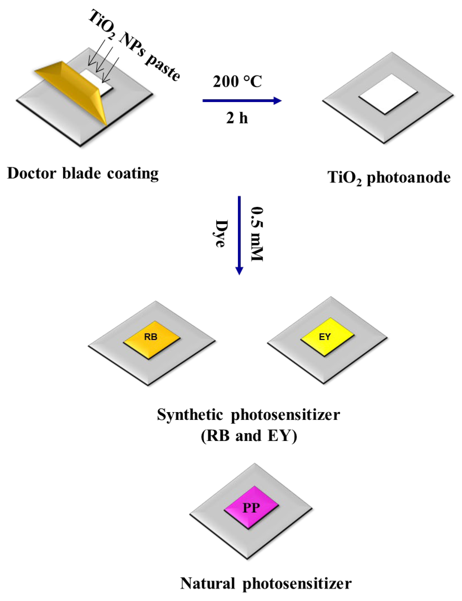 Coatings 13 00579 g001