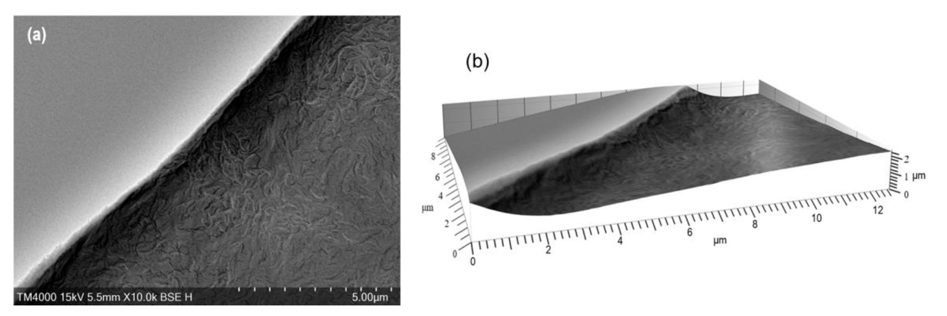 Coatings 13 00580 g004