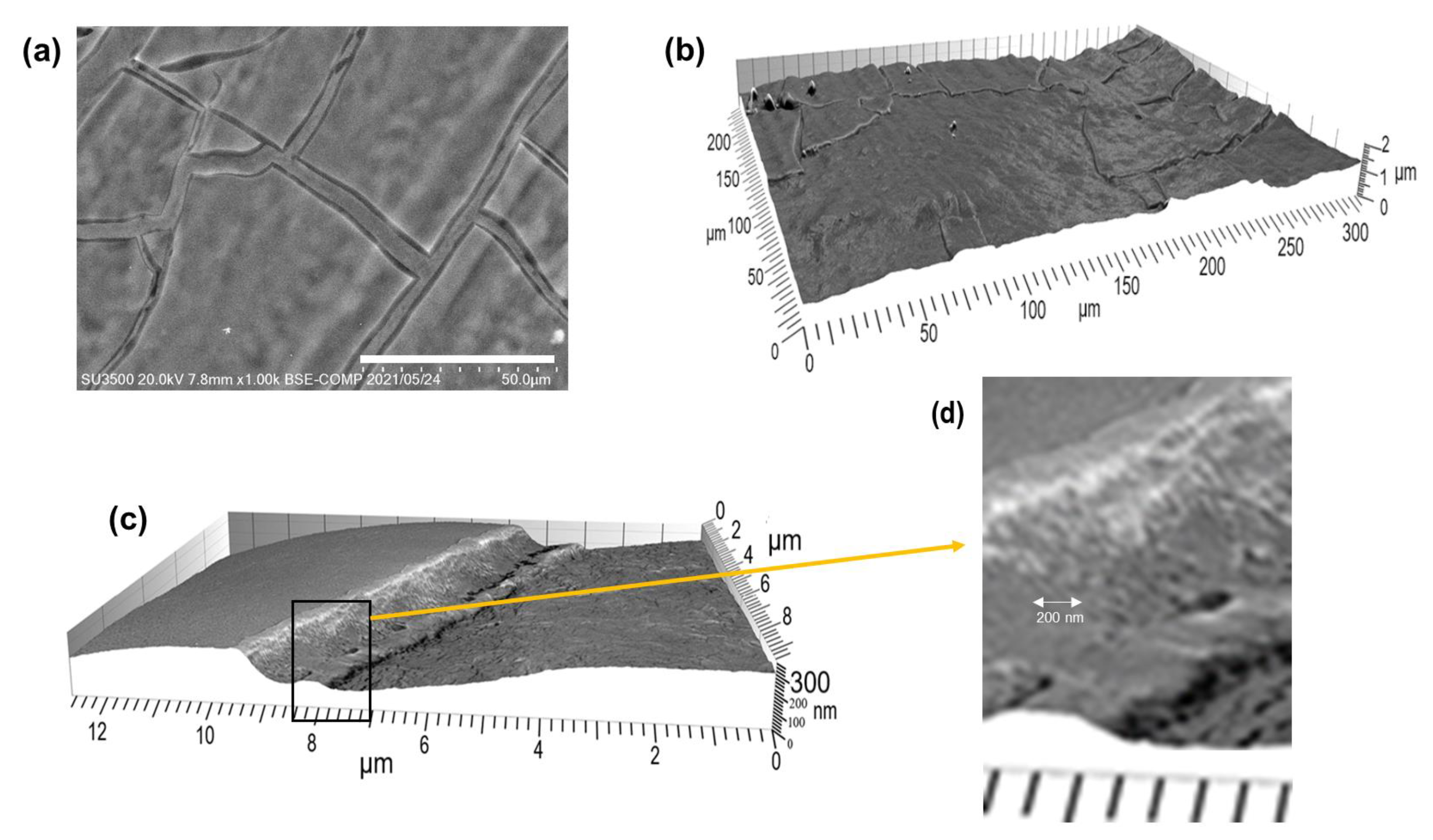 Coatings 13 00580 g006