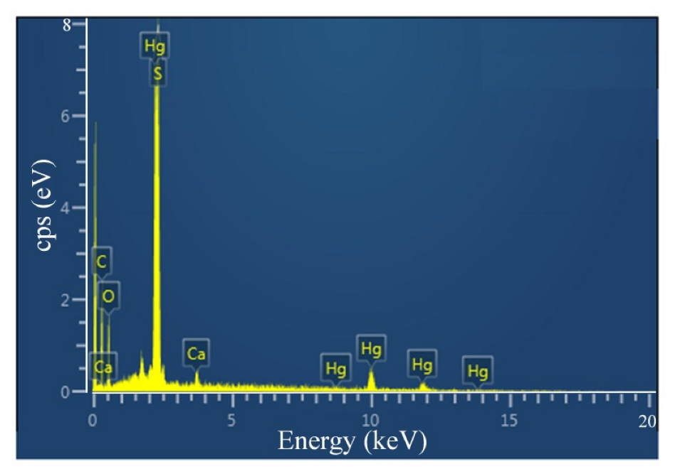 Coatings 13 00583 g003 Coatings 13 00583 g003