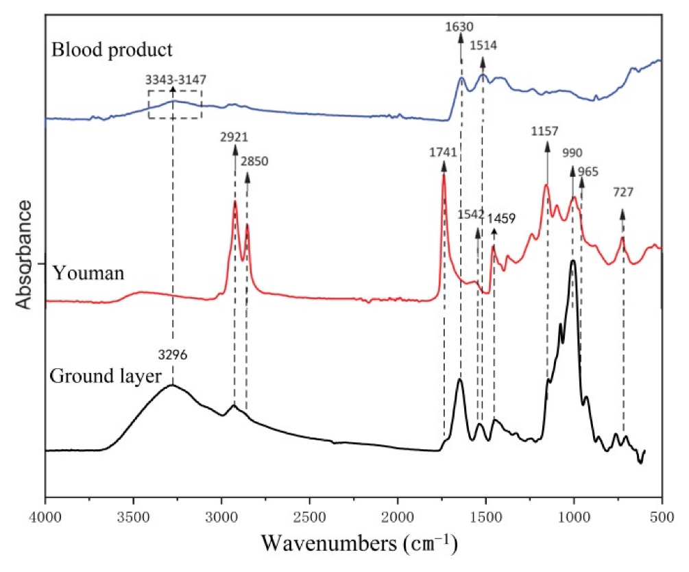 Coatings 13 00583 g007 Coatings 13 00583 g007