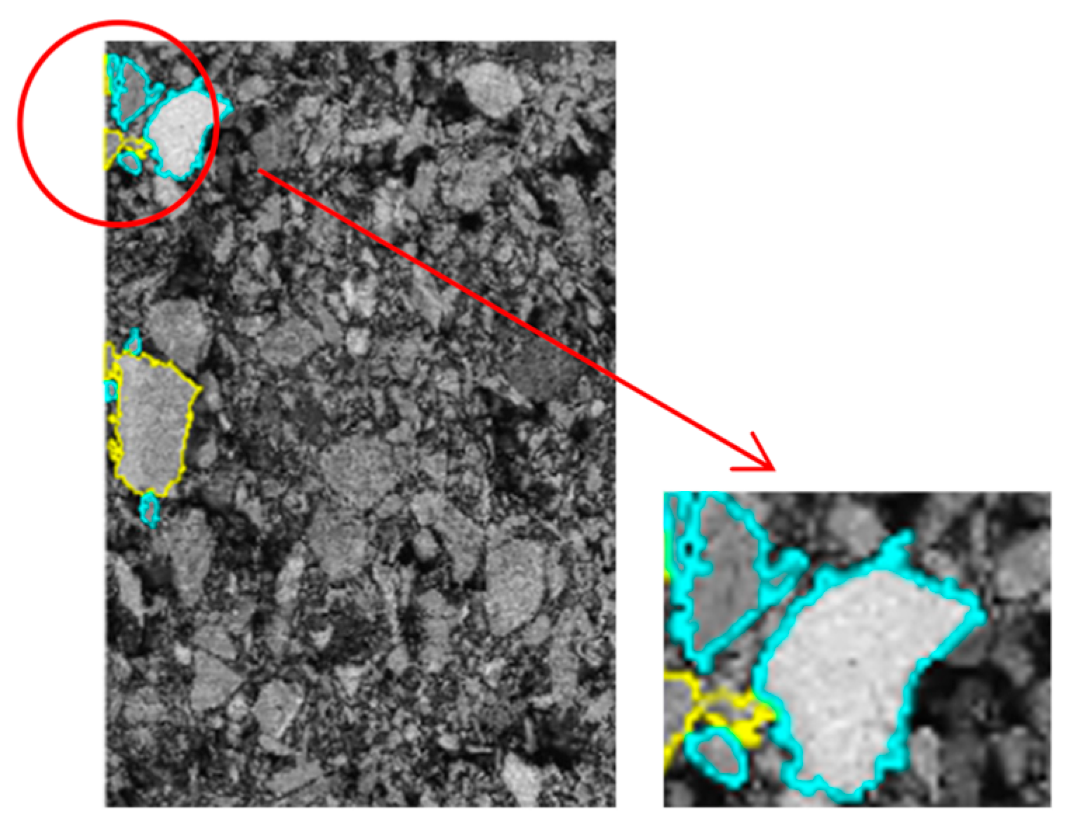 Coatings 13 00584 g004 550