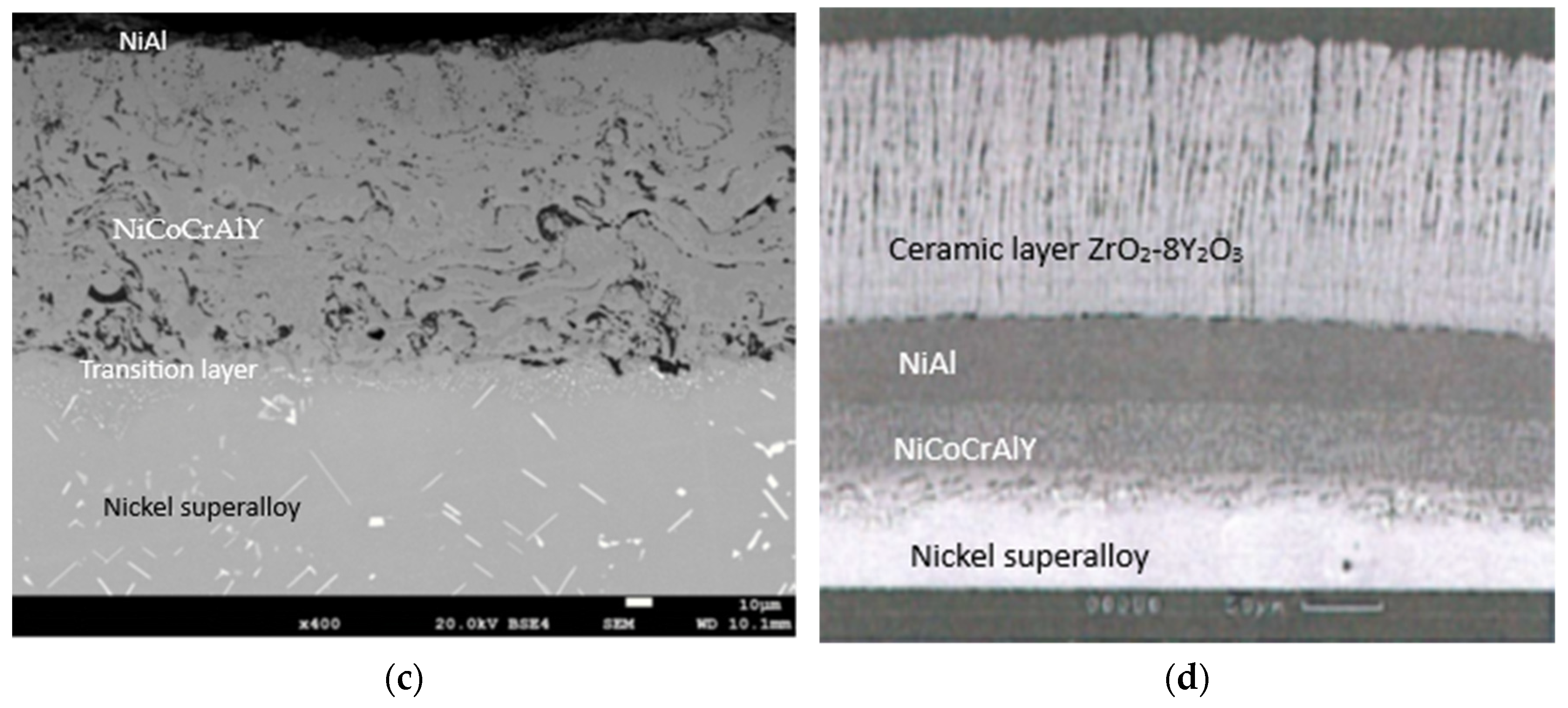 Coatings 13 00588 g004b