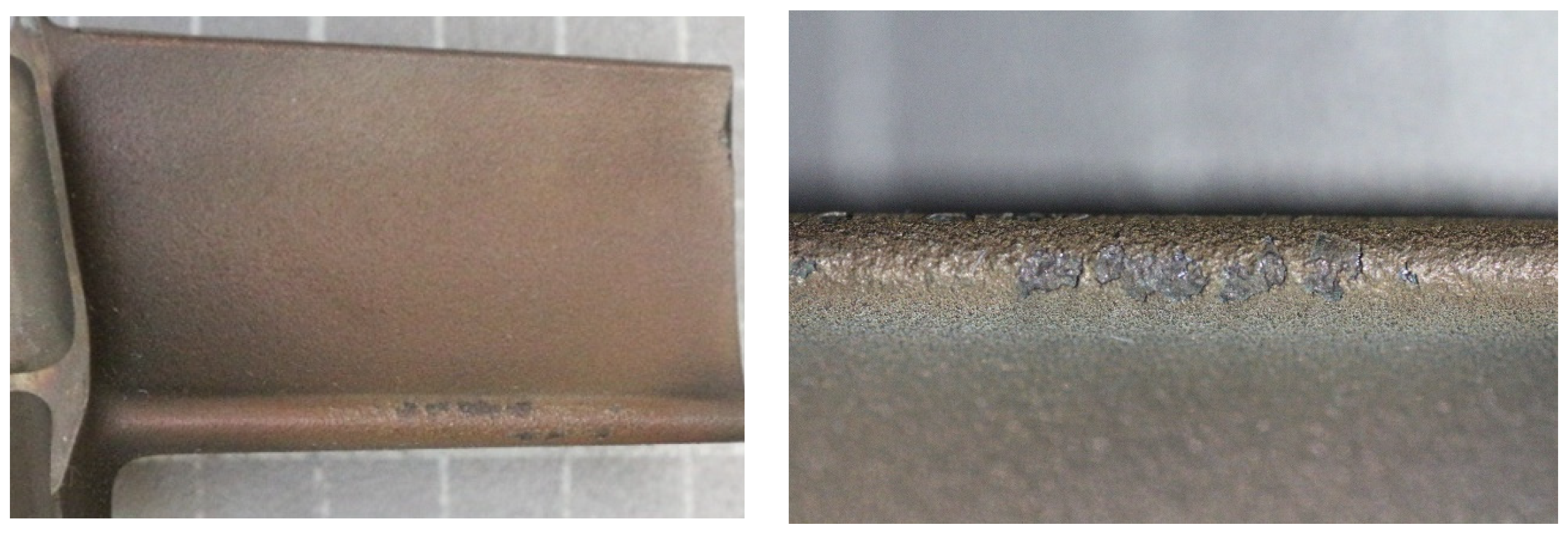 Coatings 13 00588 g006