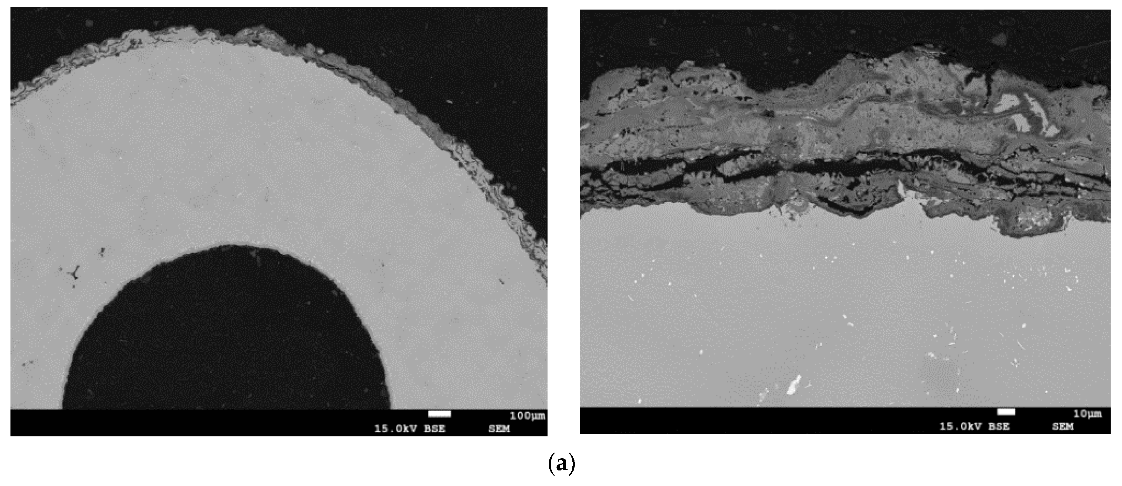 Coatings 13 00588 g014a