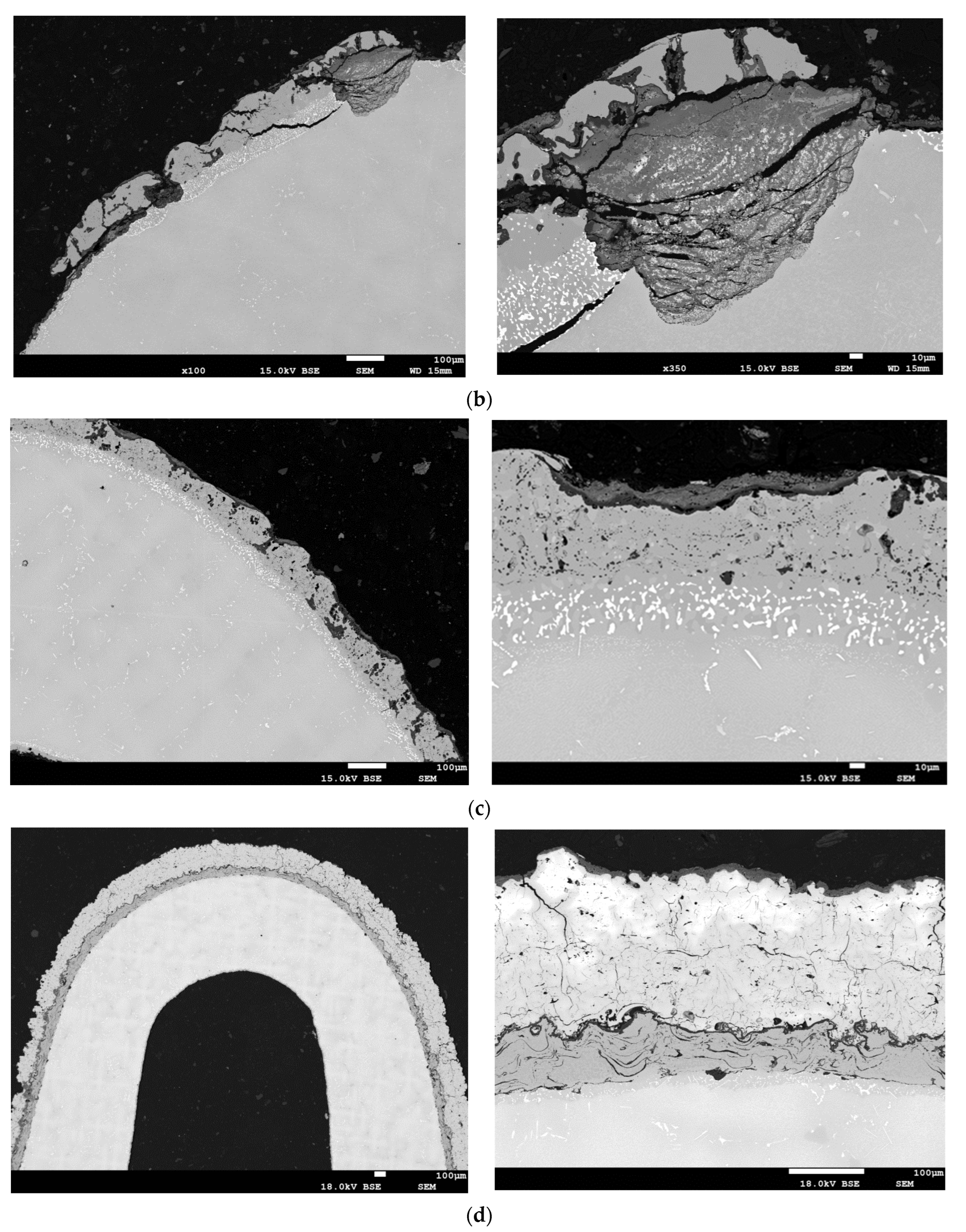 Coatings 13 00588 g014b