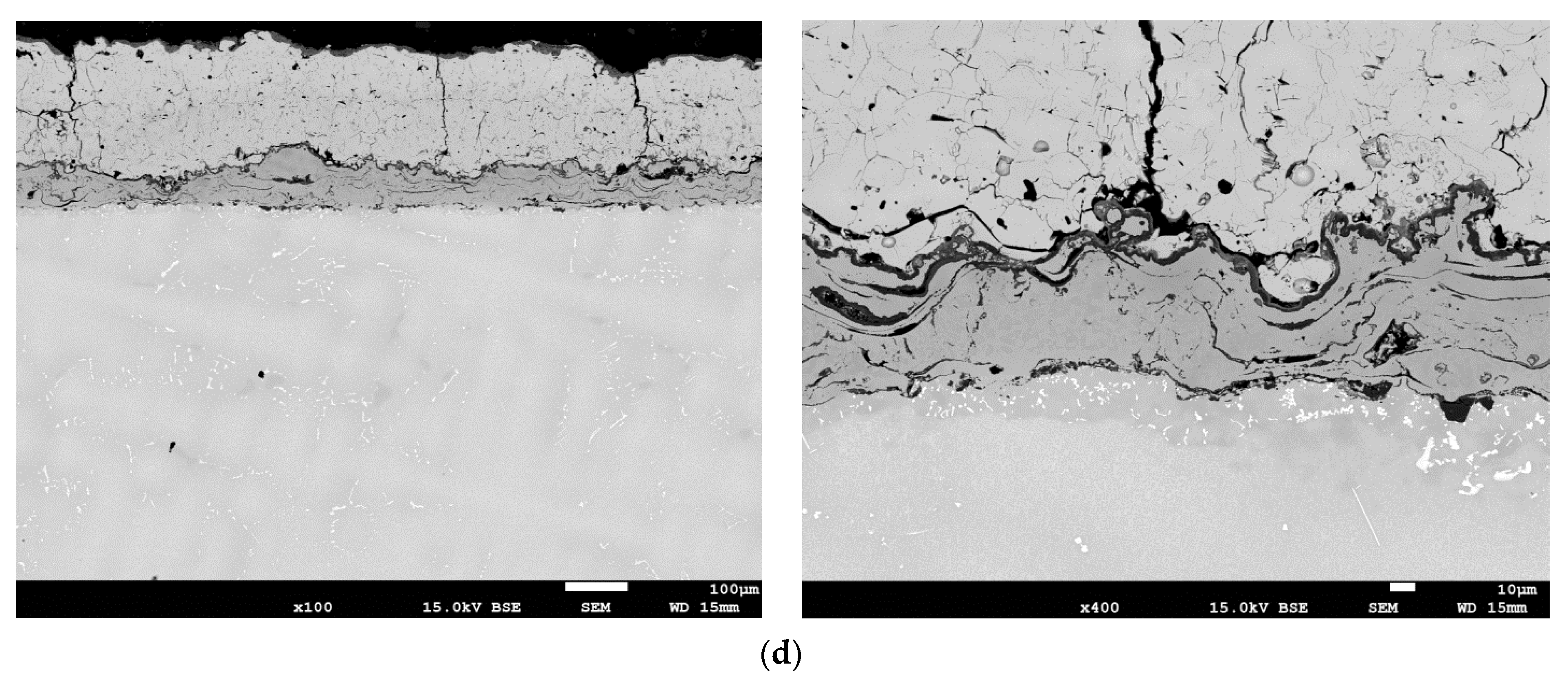 Coatings 13 00588 g015b