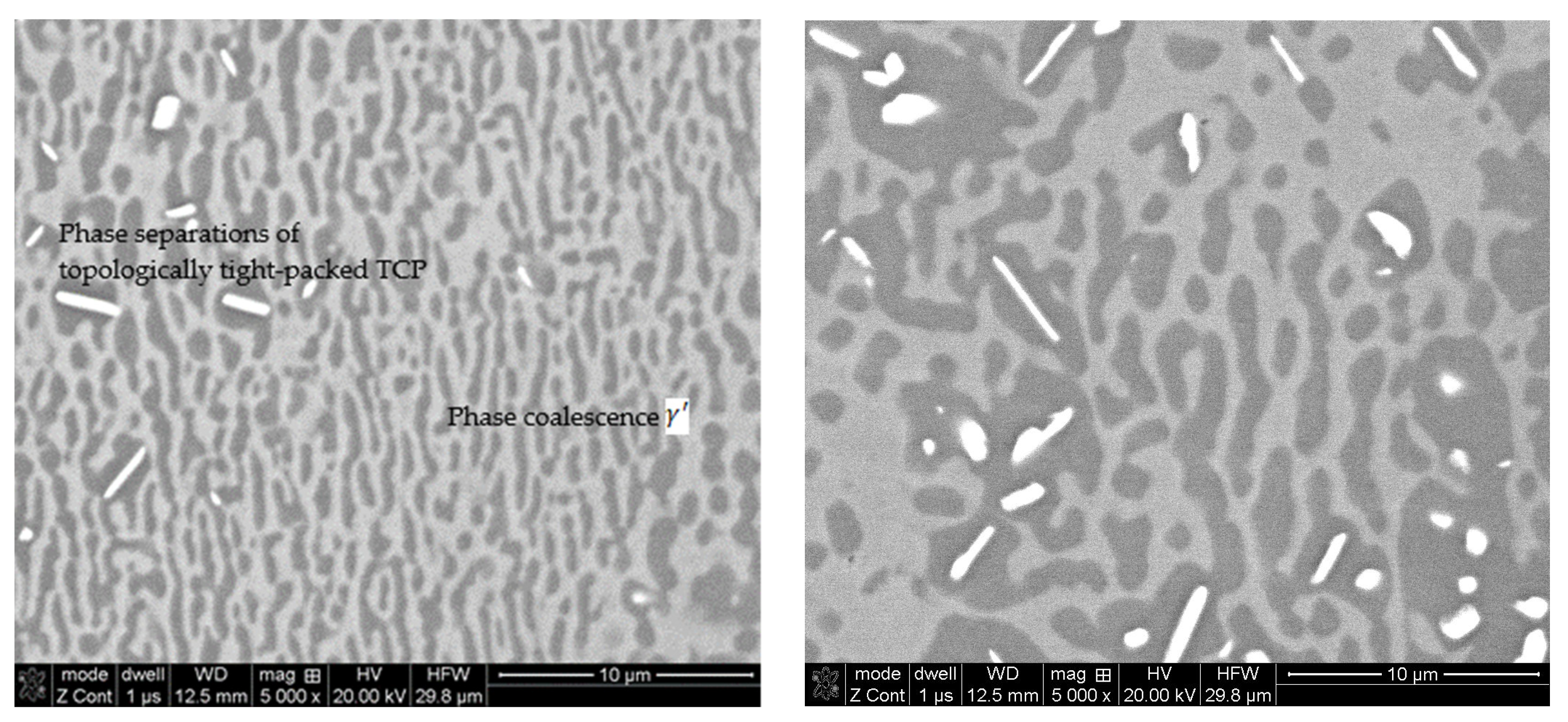 Coatings 13 00588 g016