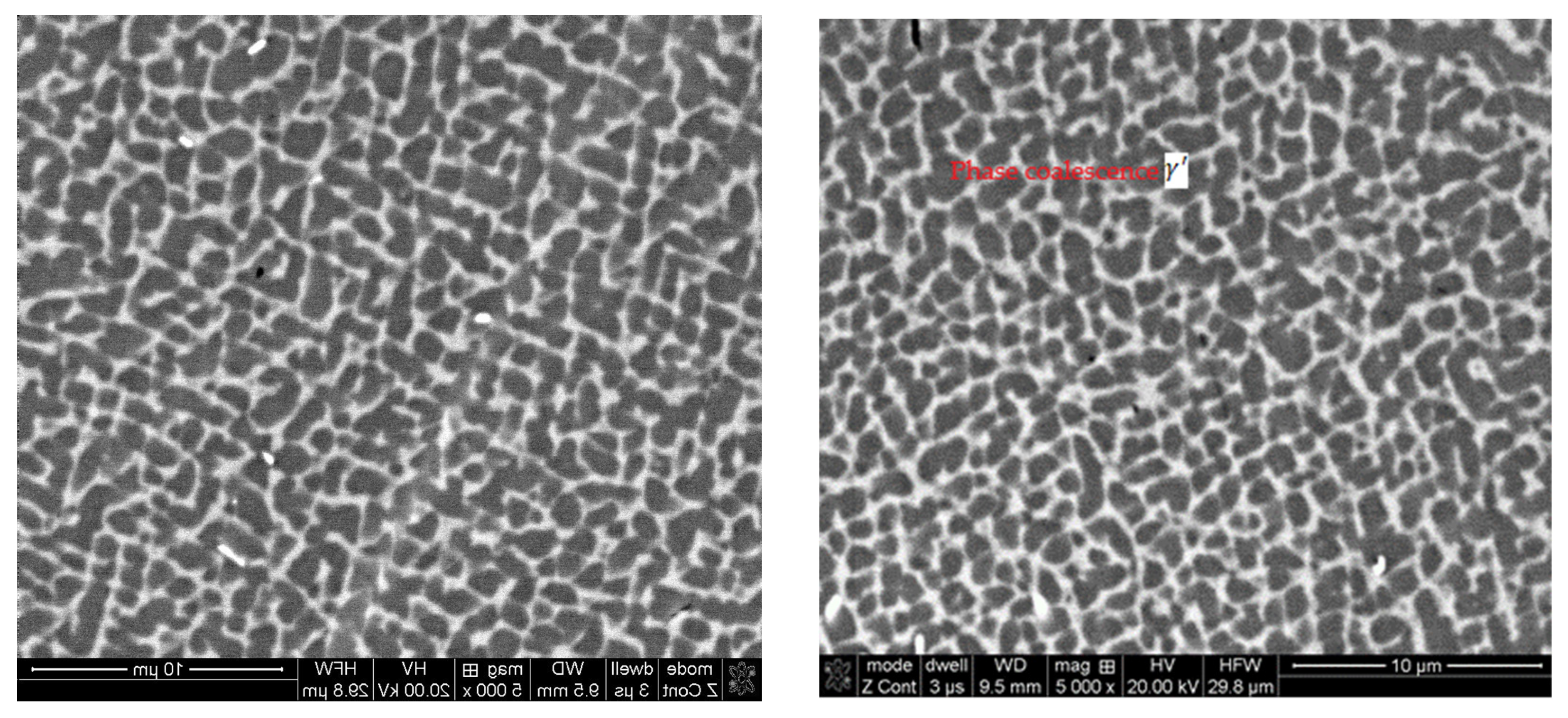 Coatings 13 00588 g017