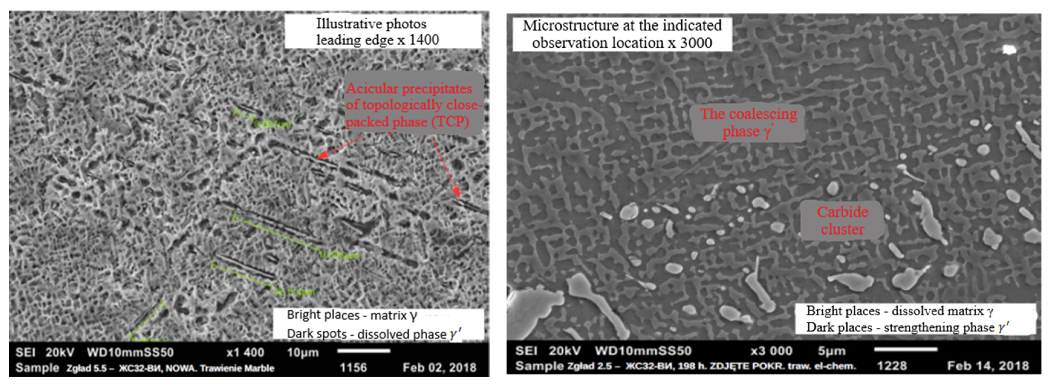 Coatings 13 00588 g018