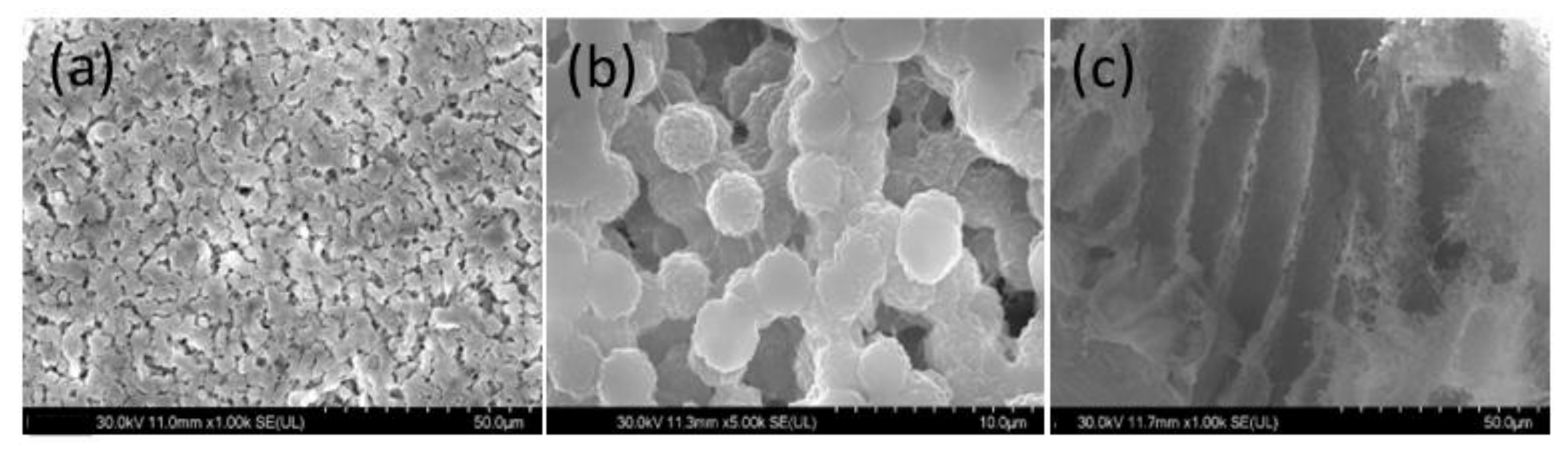 Coatings 13 00594 g003 Coatings 13 00594 g003