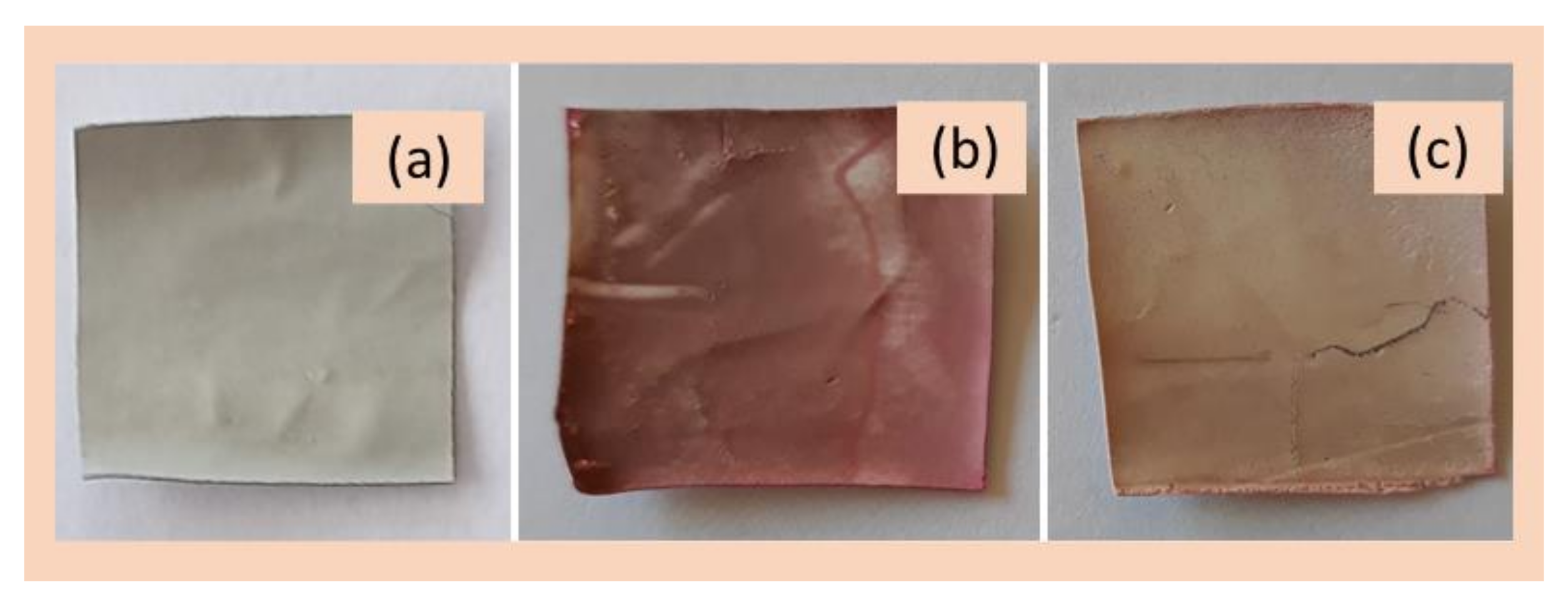 Coatings 13 00594 g011 Coatings 13 00594 g011