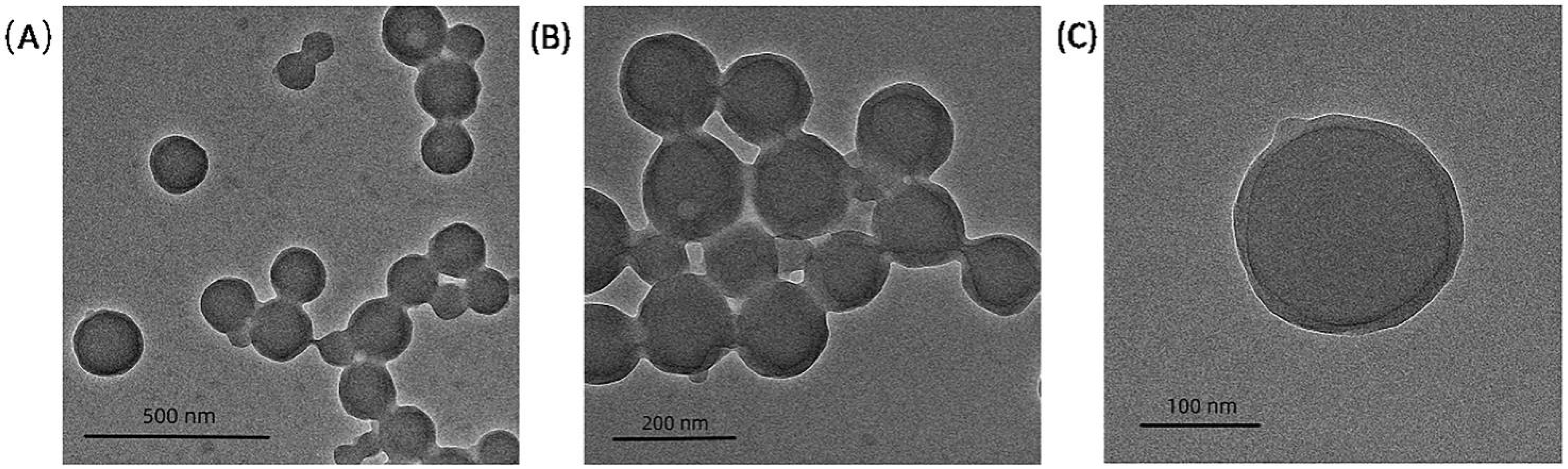 Coatings 13 00595 g012 Coatings 13 00595 g012