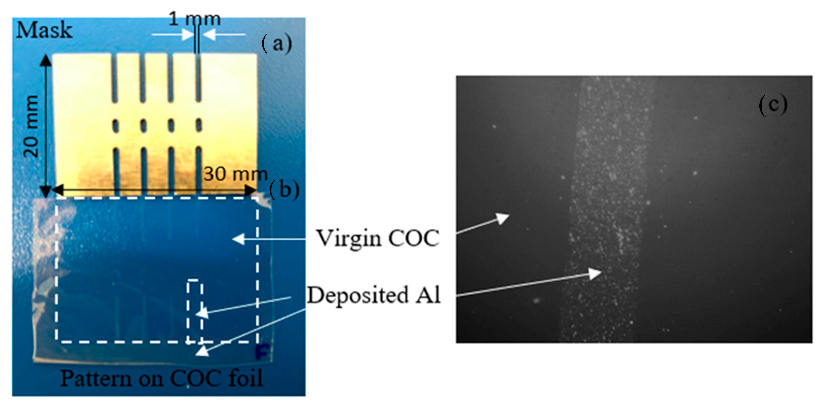 Coatings 13 00596 g003