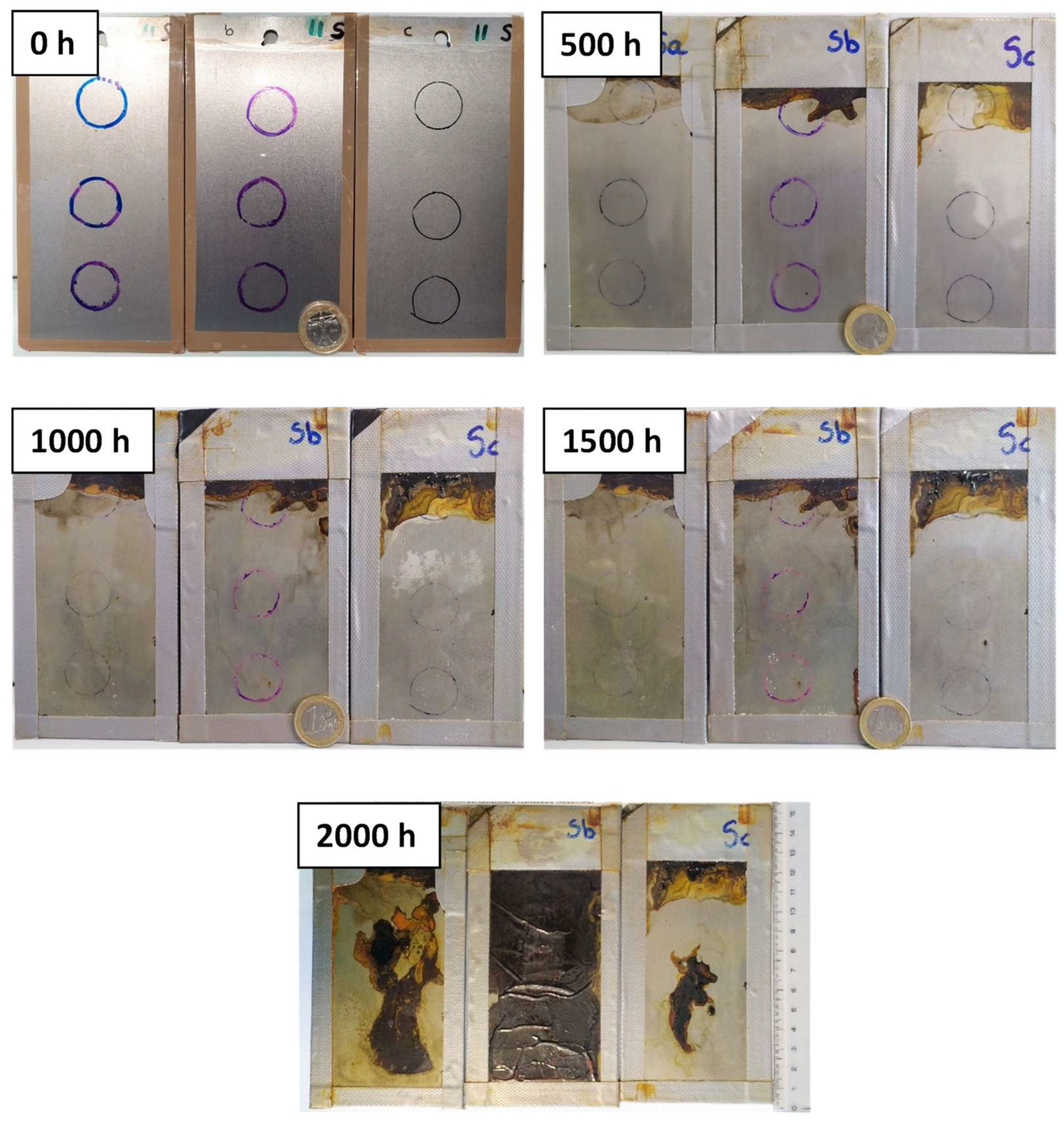 Coatings 13 00598 g004