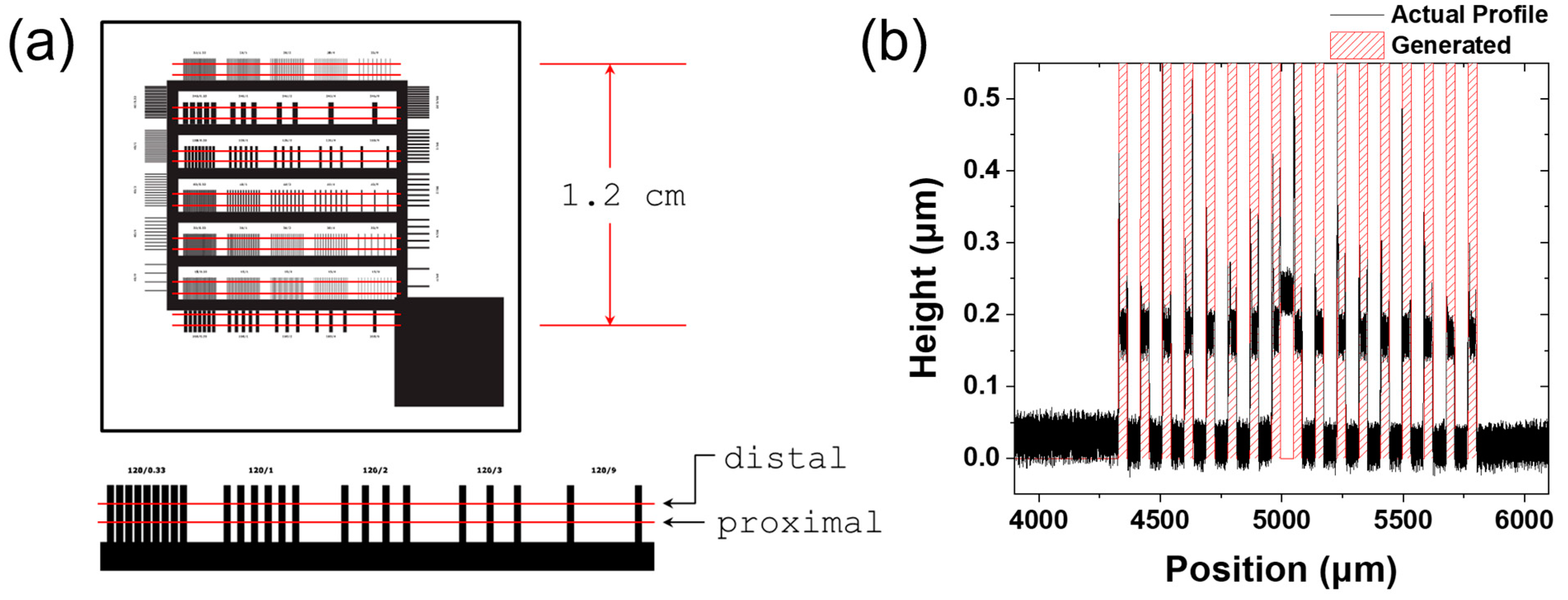 Coatings 13 00599 g001
