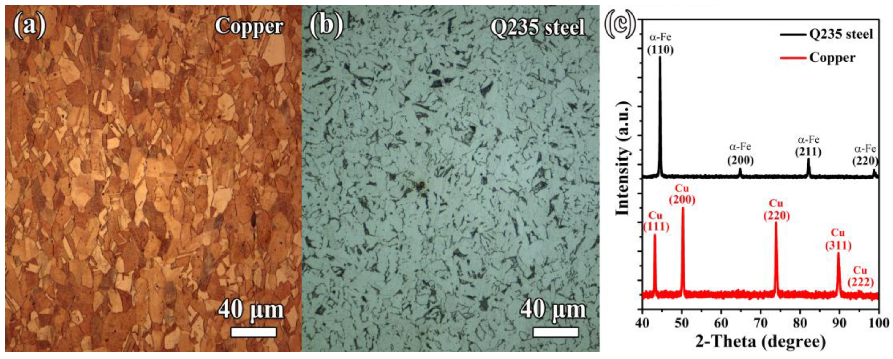 Coatings 13 00600 g002 550