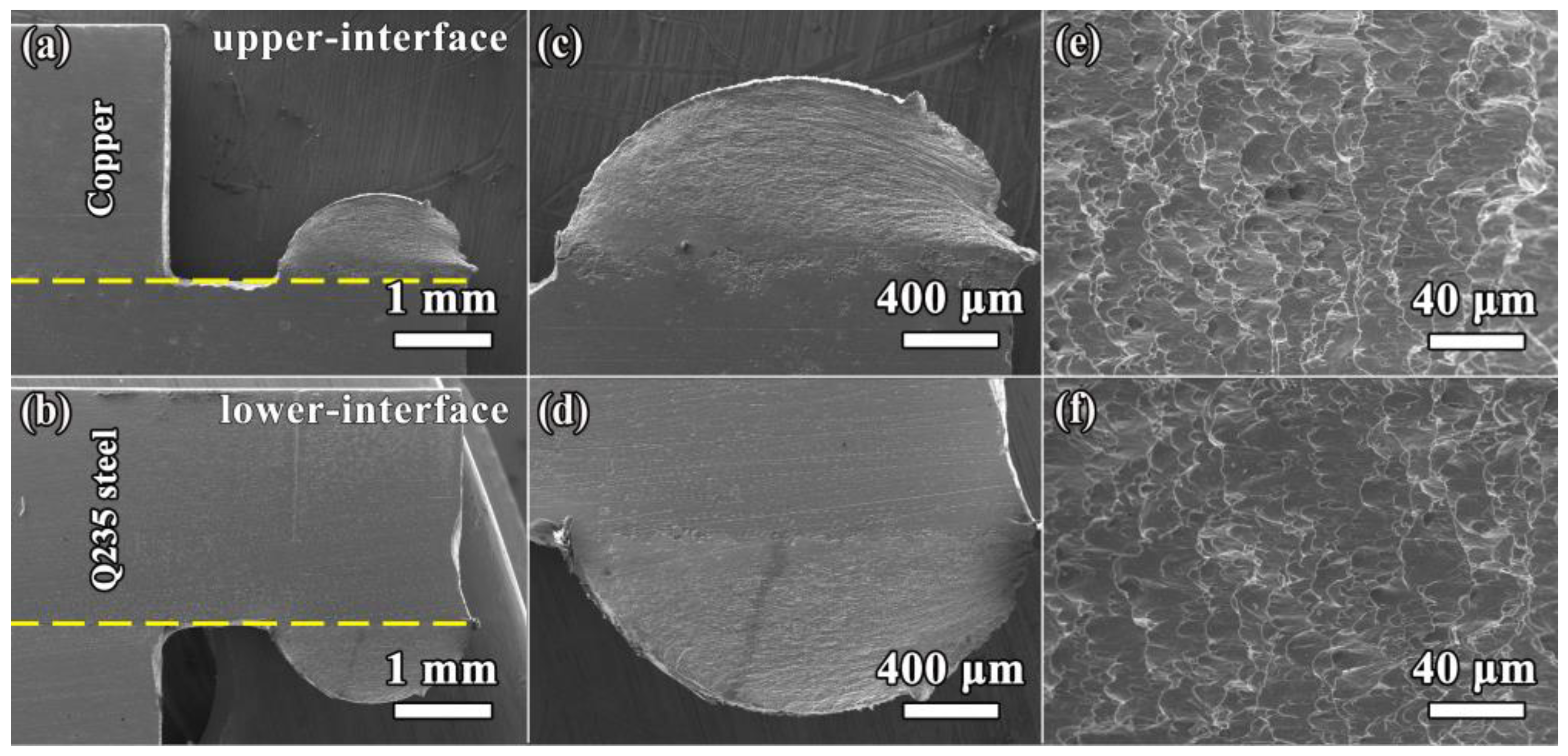Coatings 13 00600 g006 550