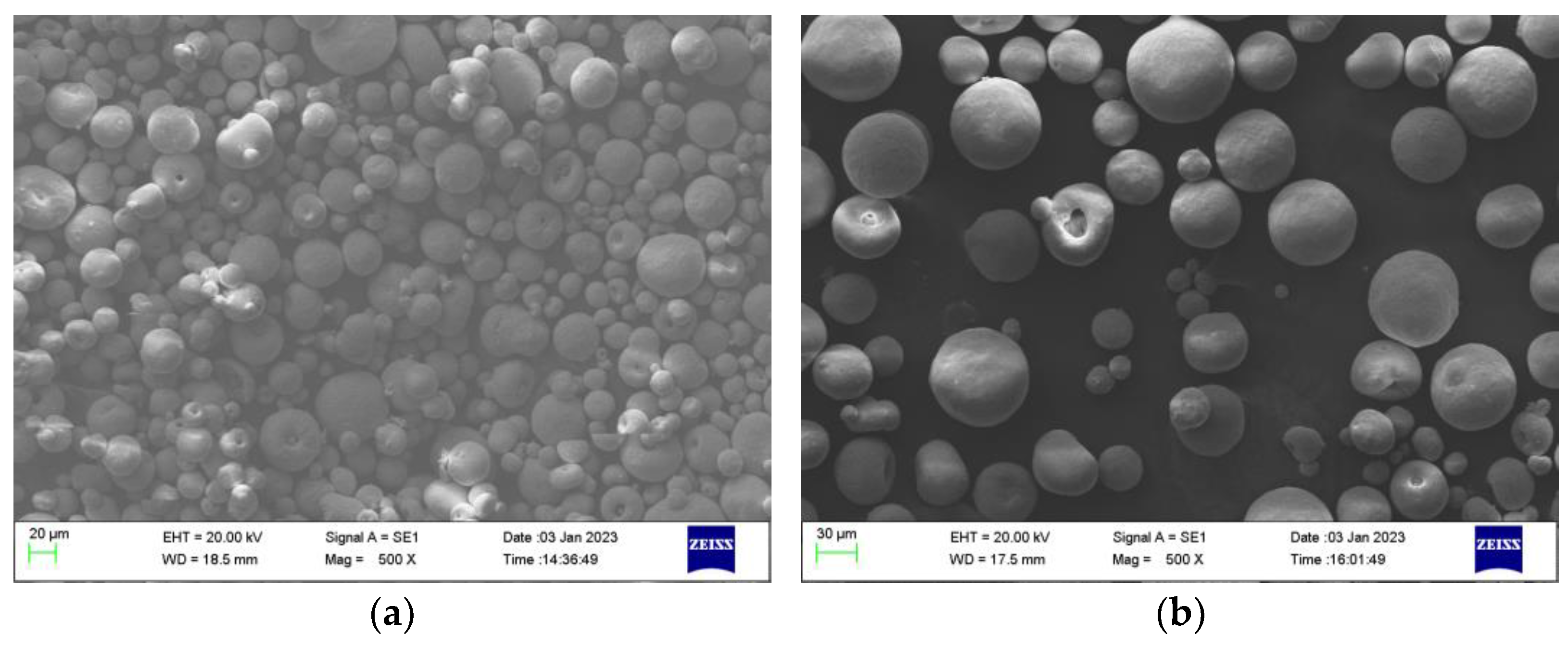 Coatings 13 00602 g002