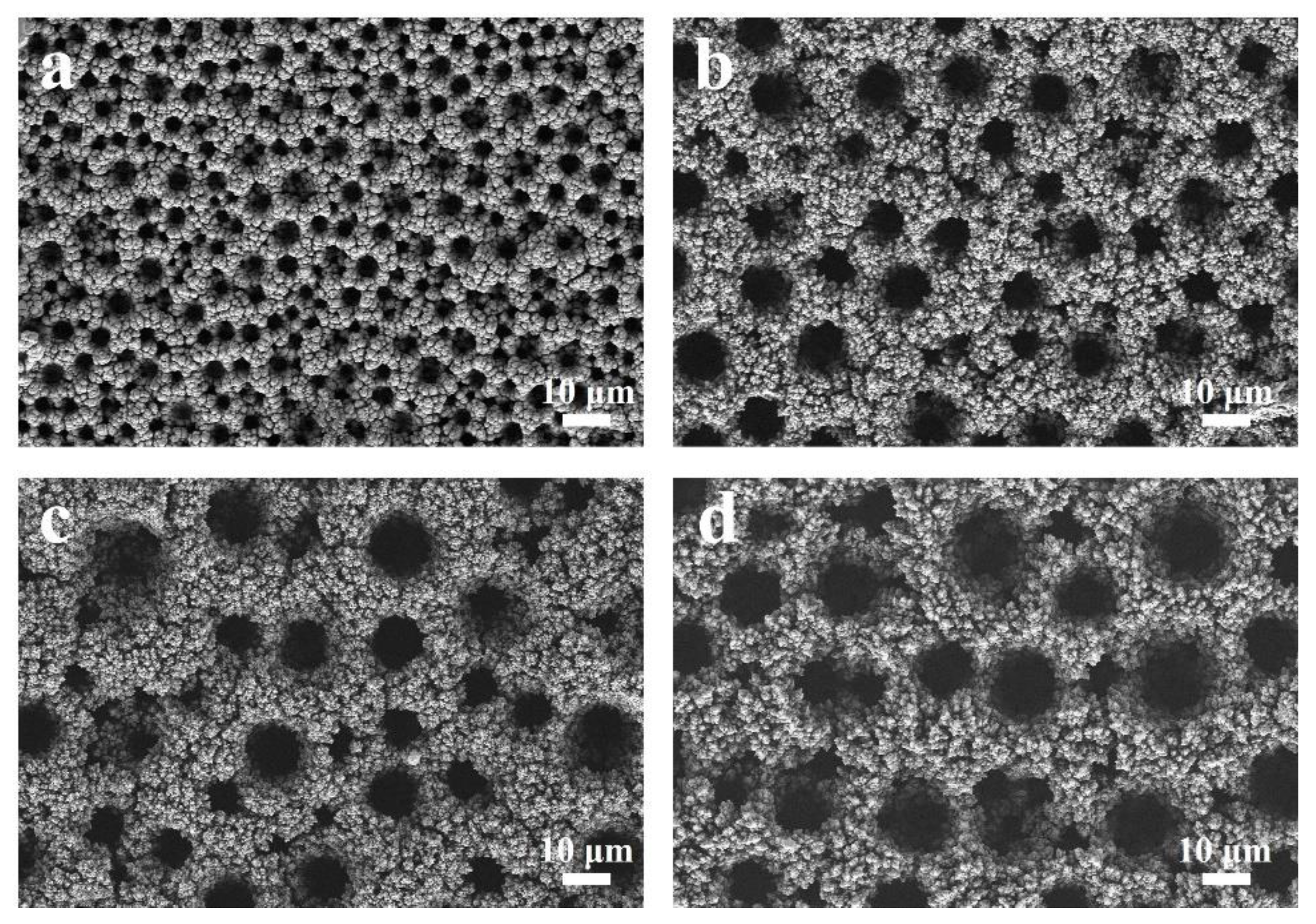 Coatings 13 00603 g001 Coatings 13 00603 g001