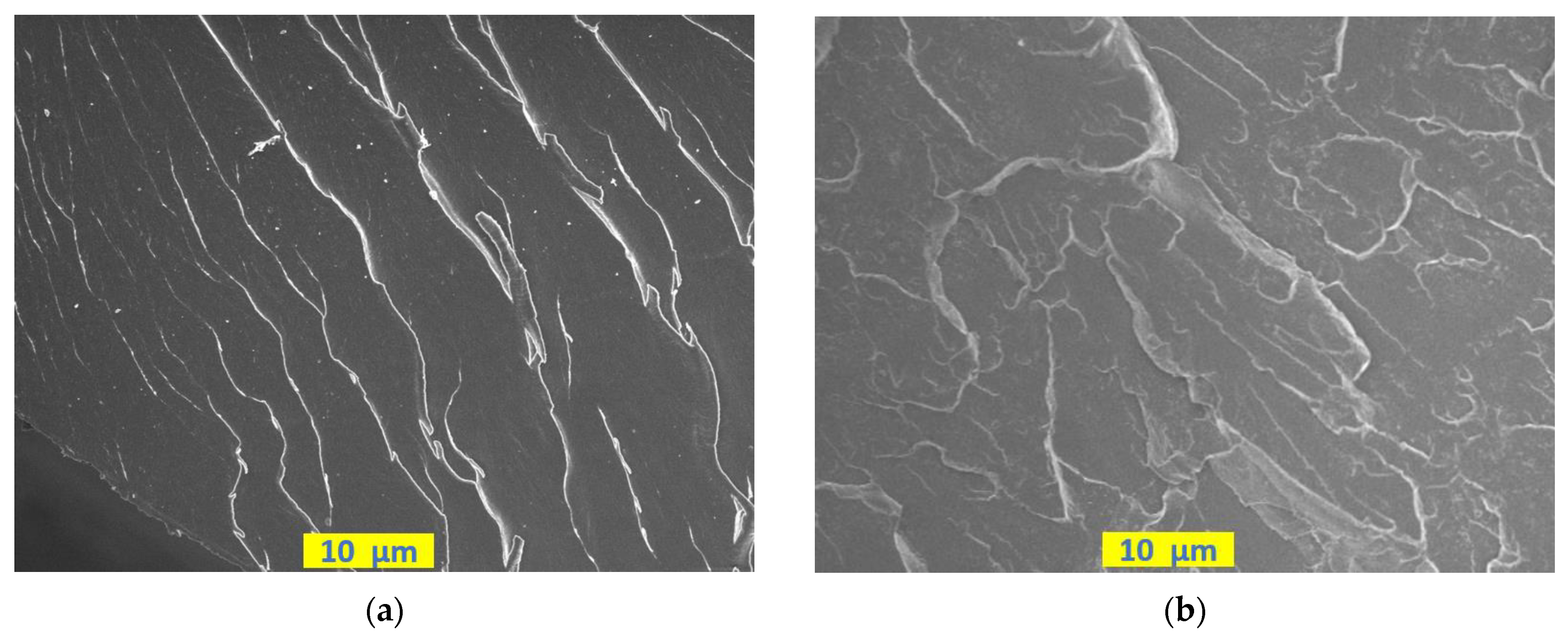 Coatings 13 00604 g009a Coatings 13 00604 g009a