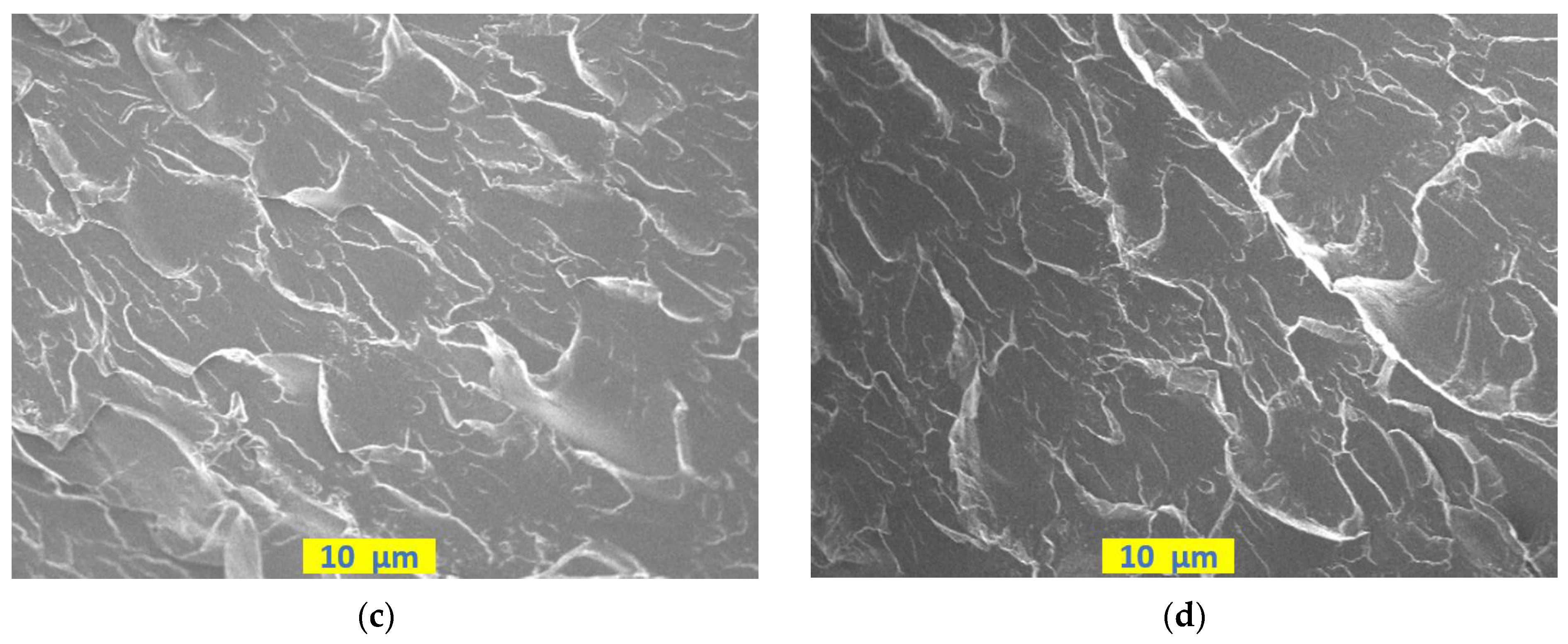 Coatings 13 00604 g009b Coatings 13 00604 g009b