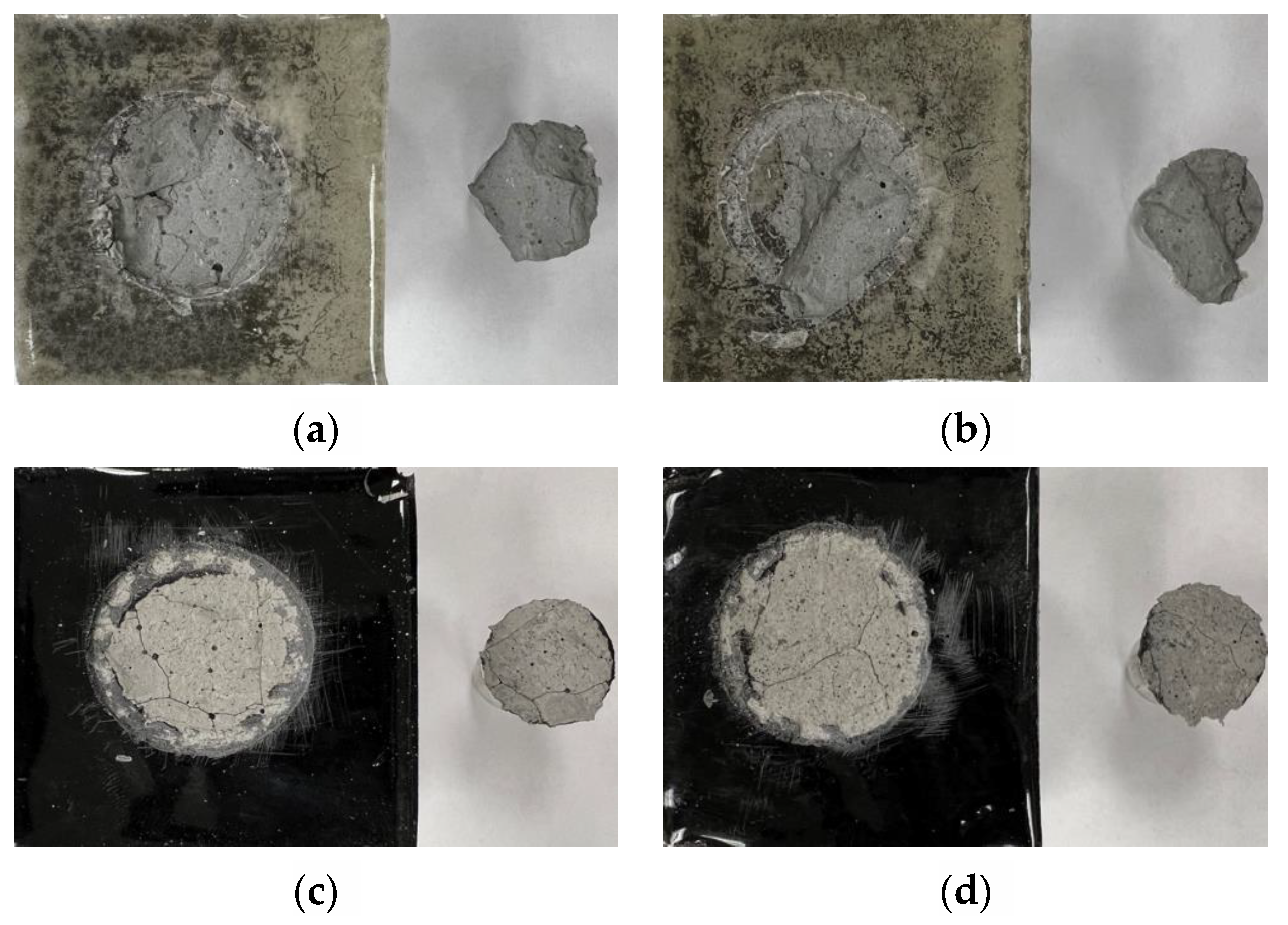 Coatings 13 00604 g013 Coatings 13 00604 g013