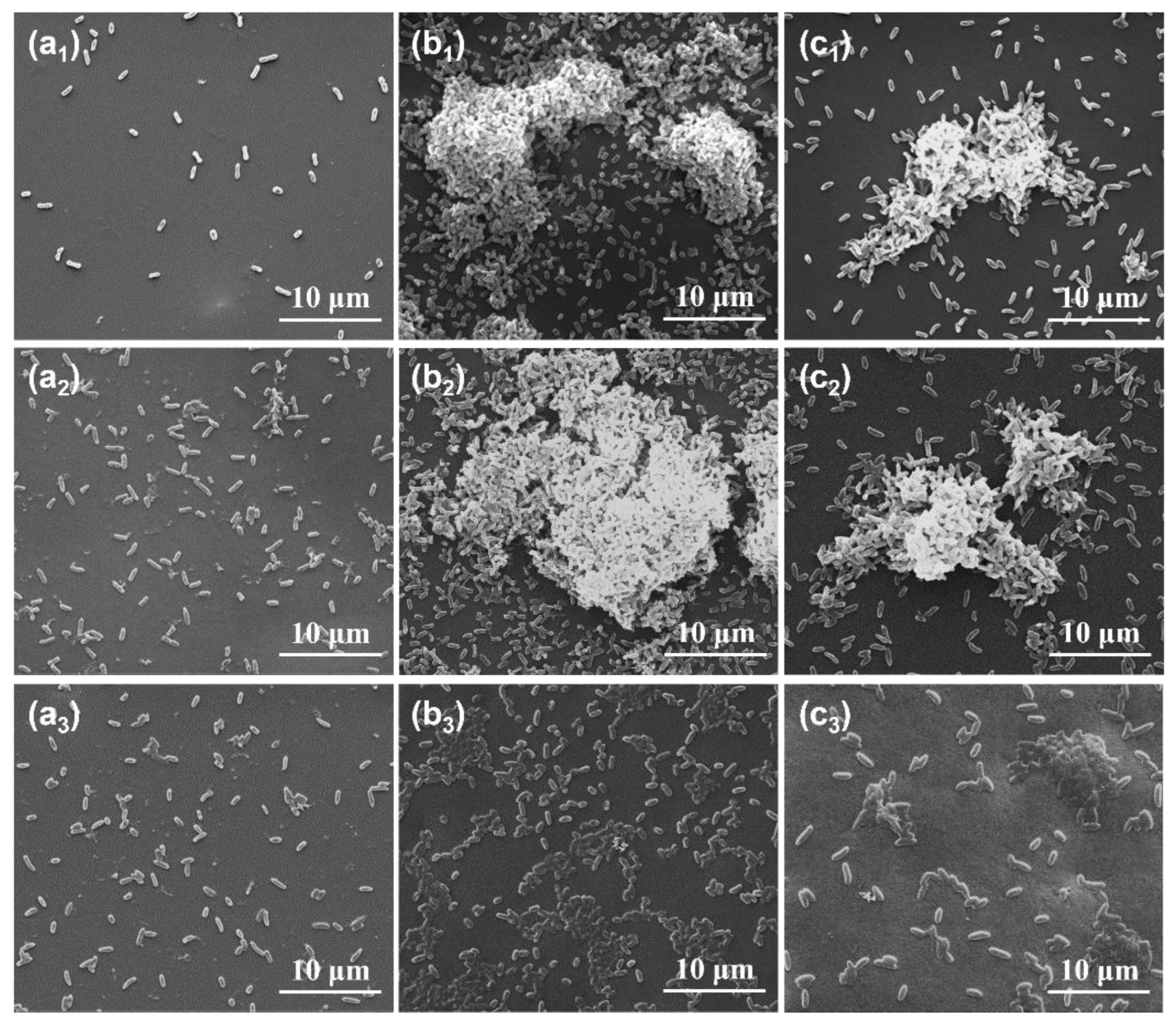 Coatings 13 00606 g002 Coatings 13 00606 g002