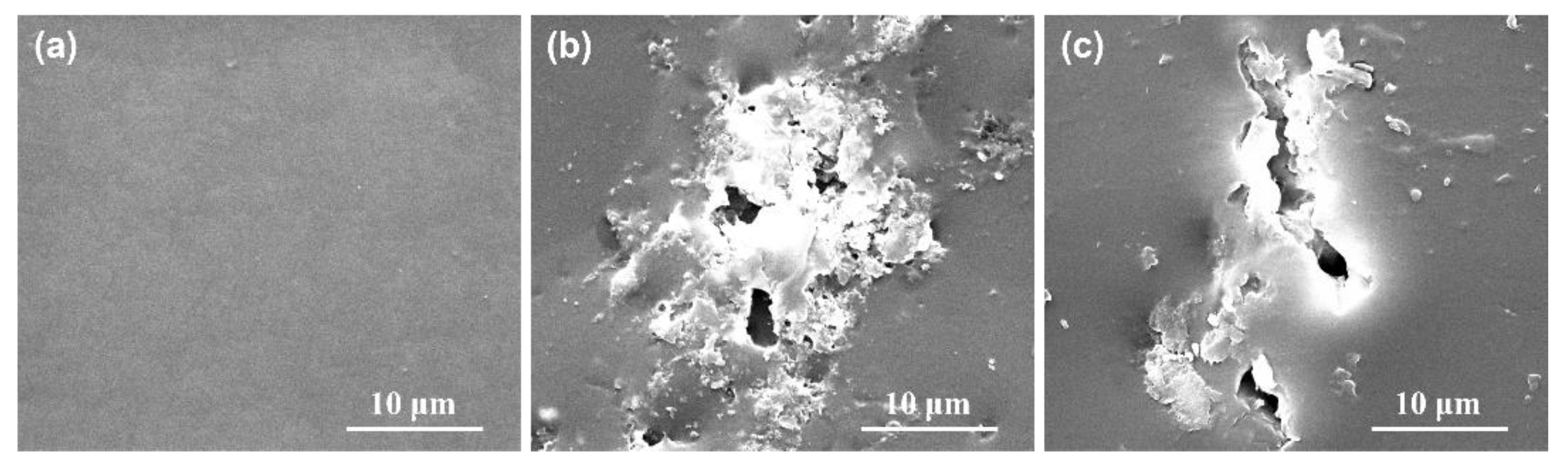 Coatings 13 00606 g003 Coatings 13 00606 g003