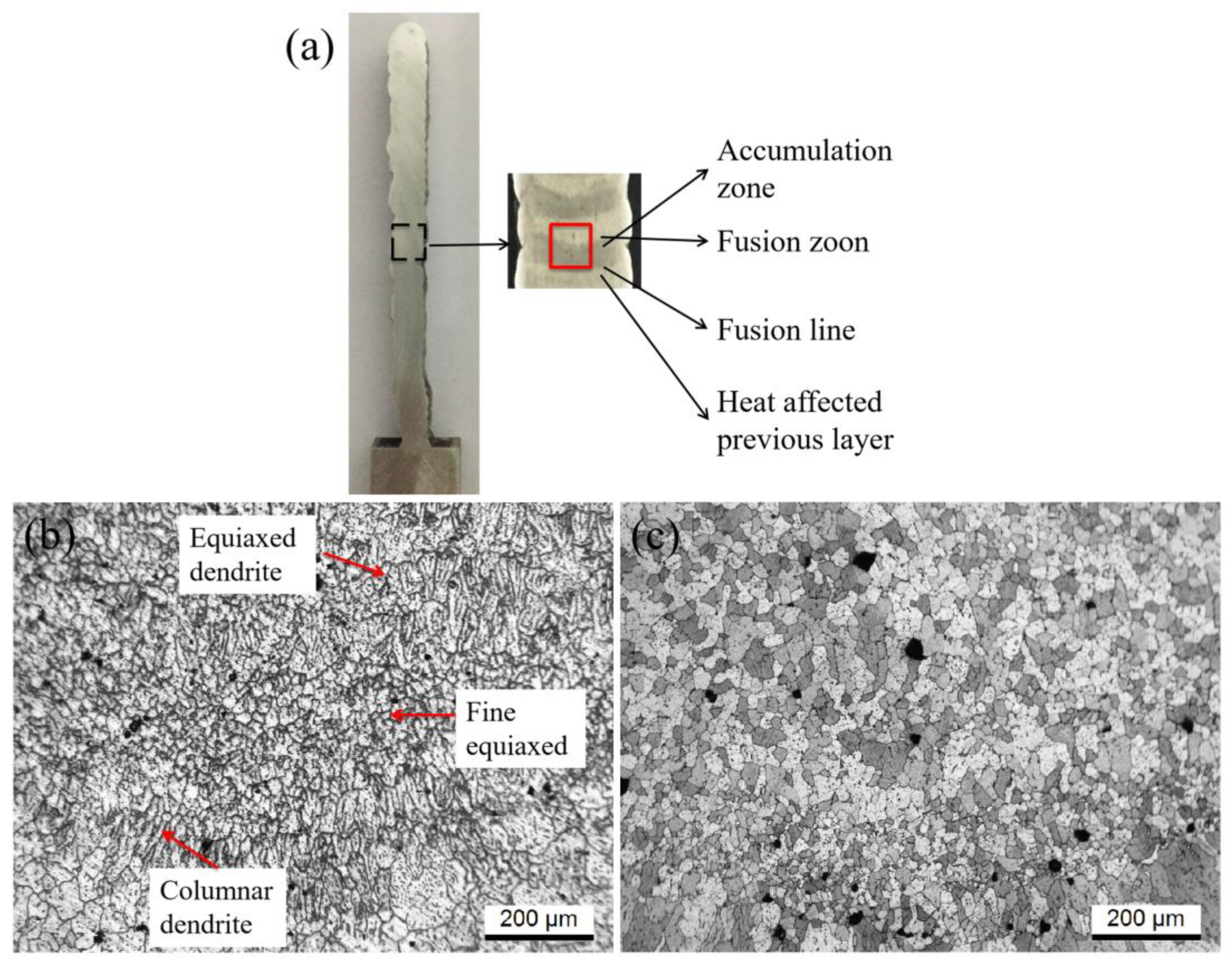 Coatings 13 00610 g004