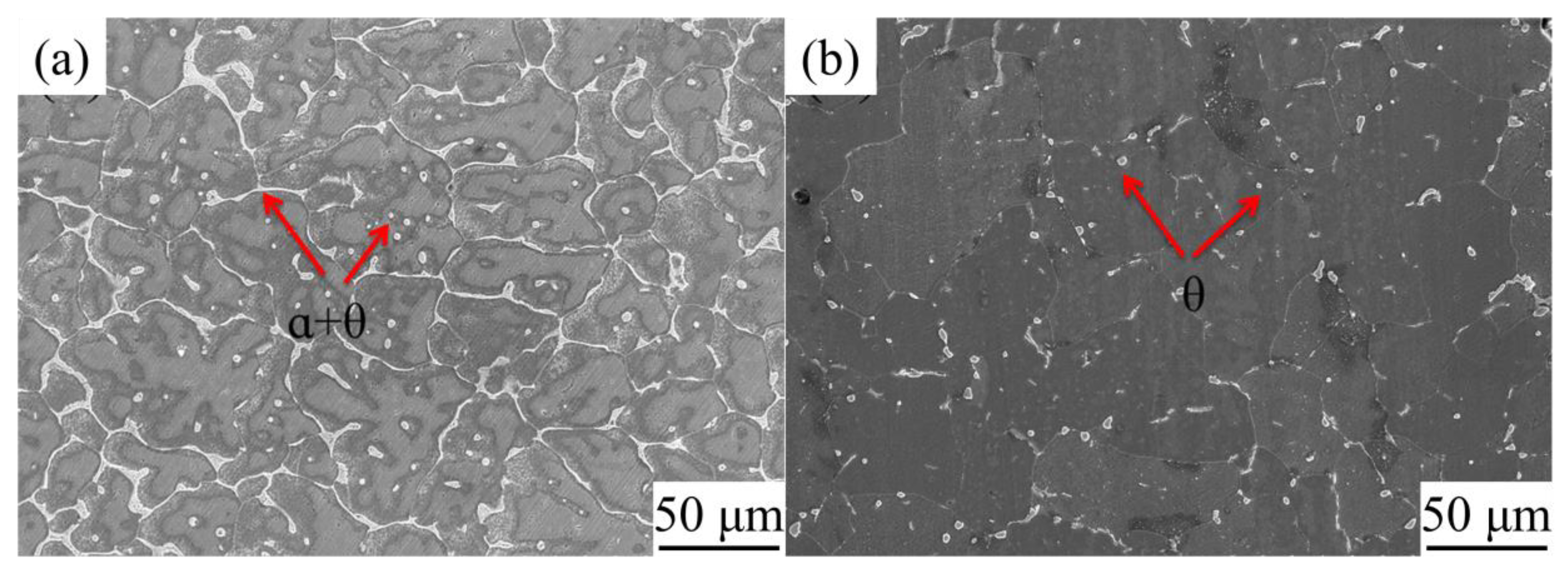 Coatings 13 00610 g005