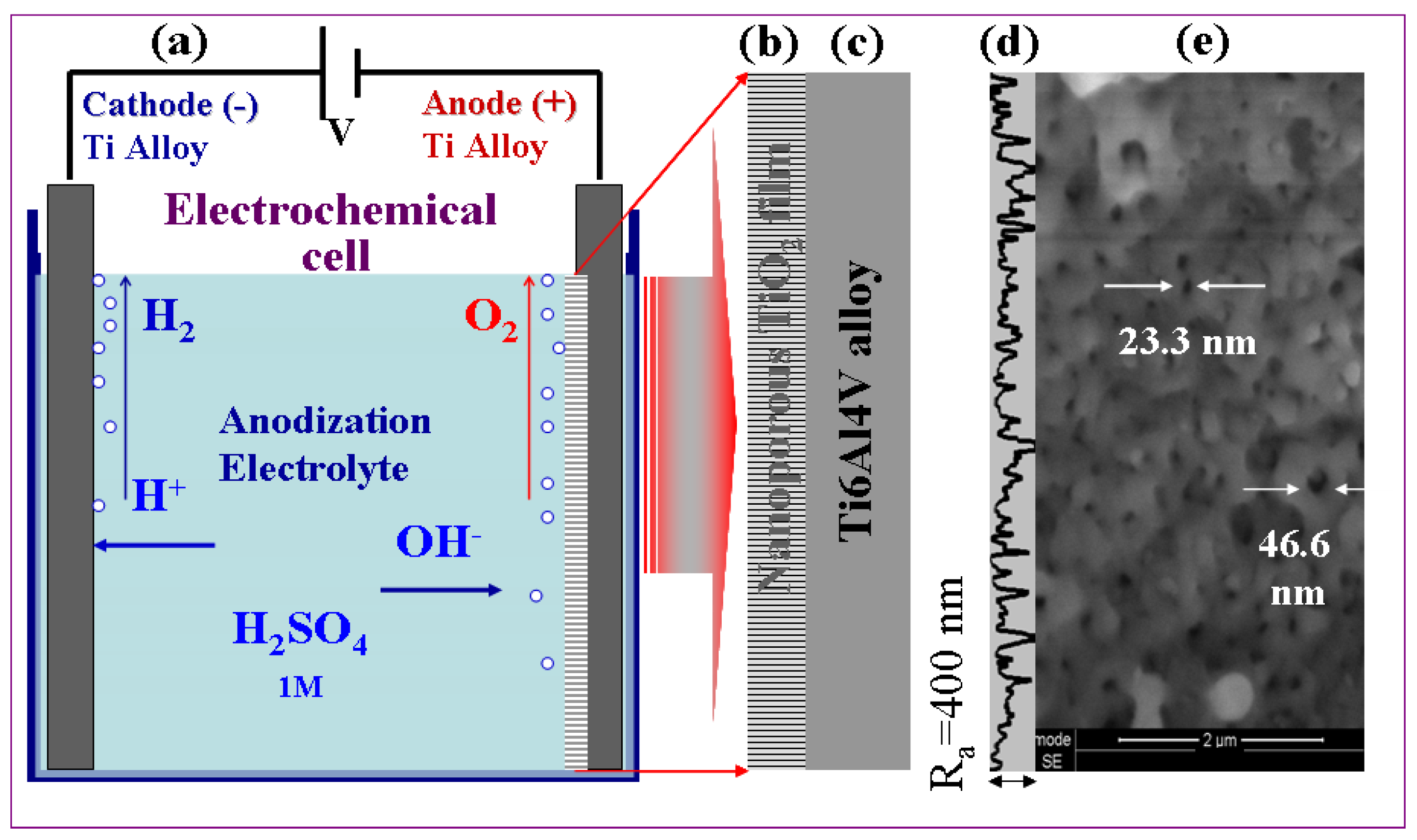 Coatings 13 00614 g001 Coatings 13 00614 g001