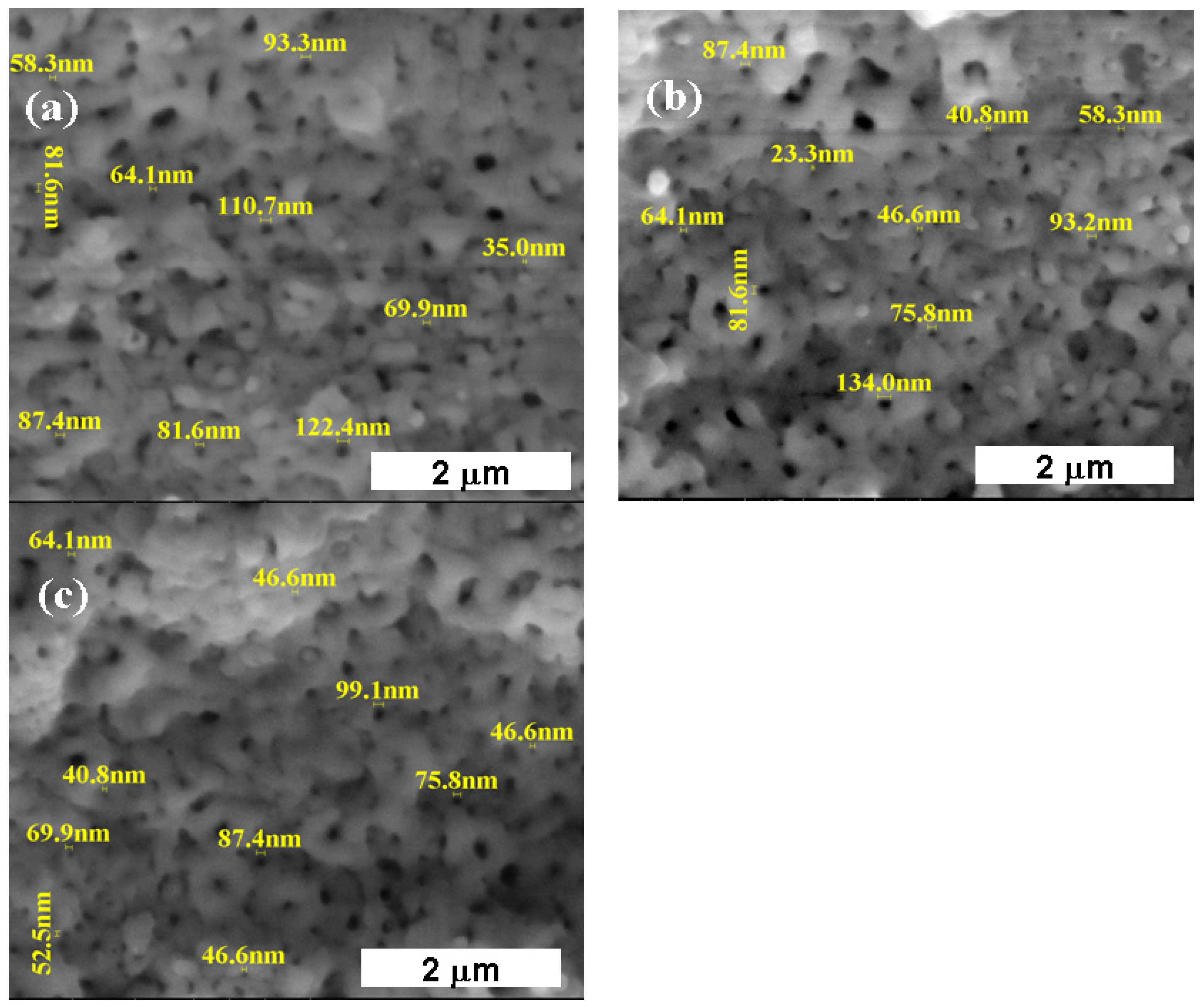 Coatings 13 00614 g005 Coatings 13 00614 g005