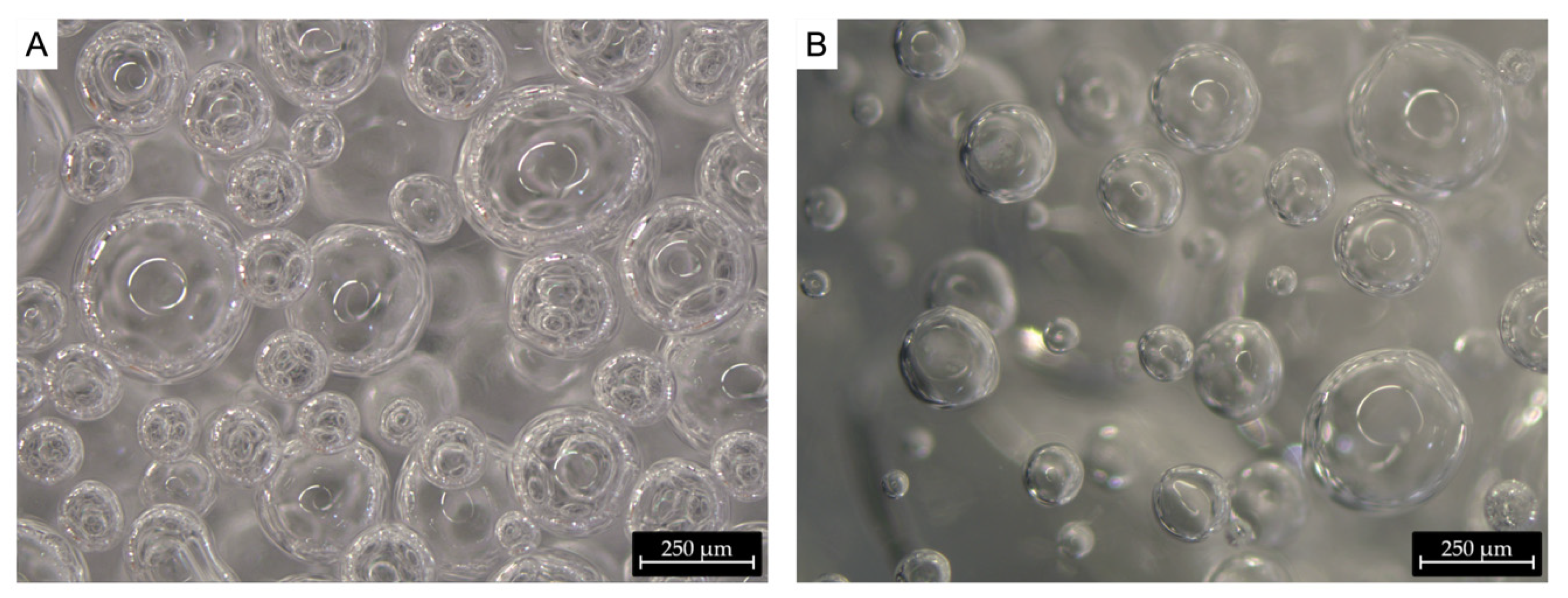 Coatings 13 00615 g003