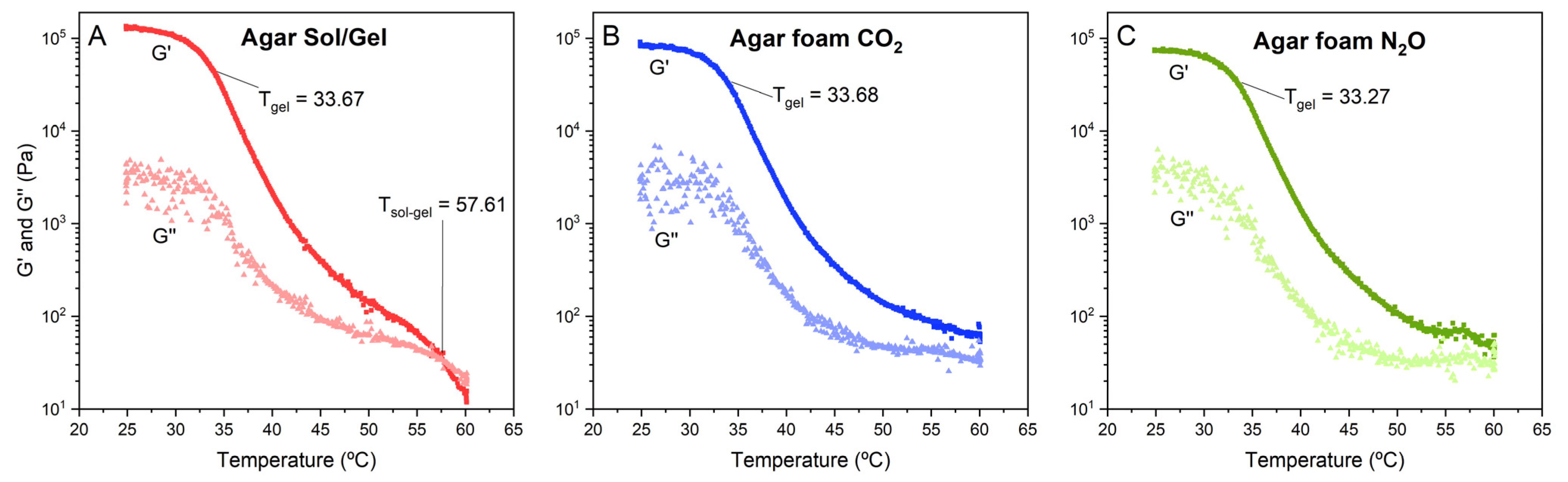 Coatings 13 00615 g005