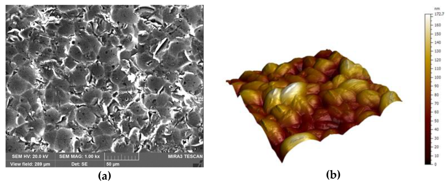Coatings 13 00616 g002