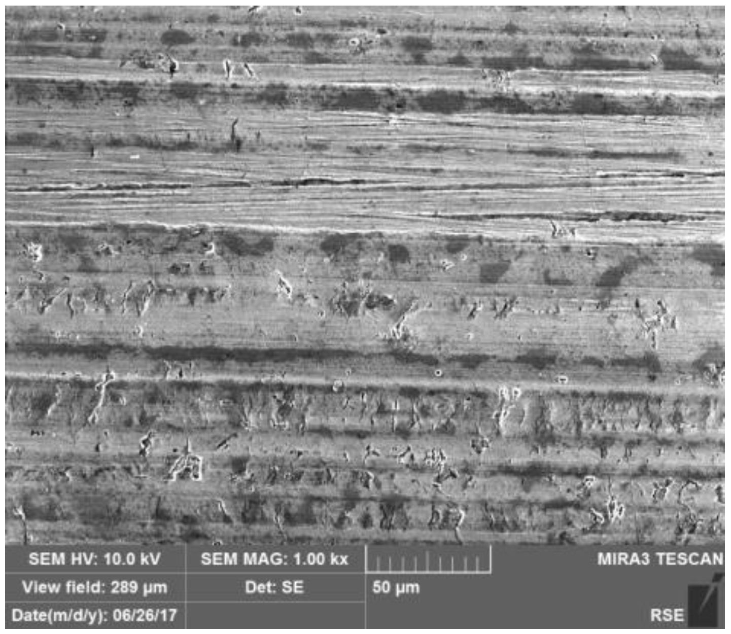 Coatings 13 00616 g003