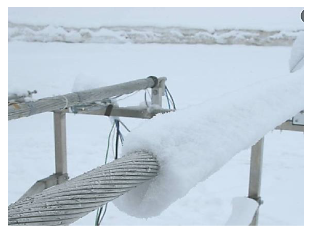 Coatings 13 00616 g007