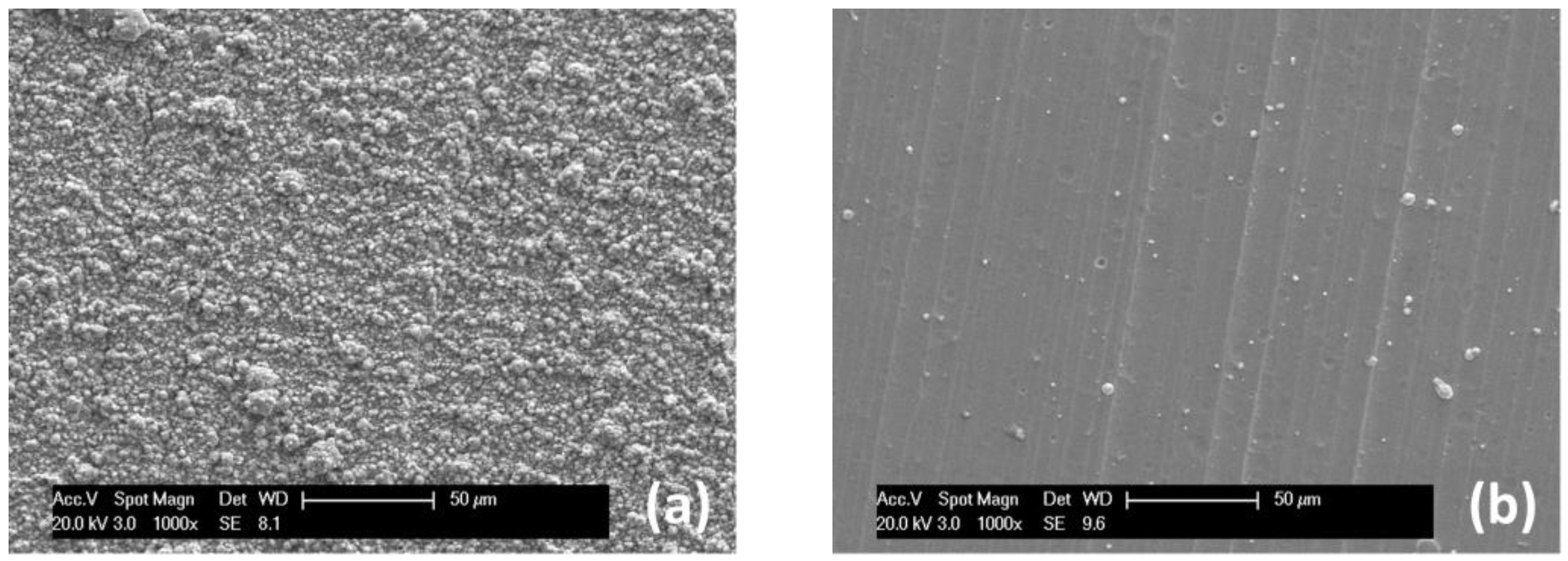 Coatings 13 00619 g002 Coatings 13 00619 g002