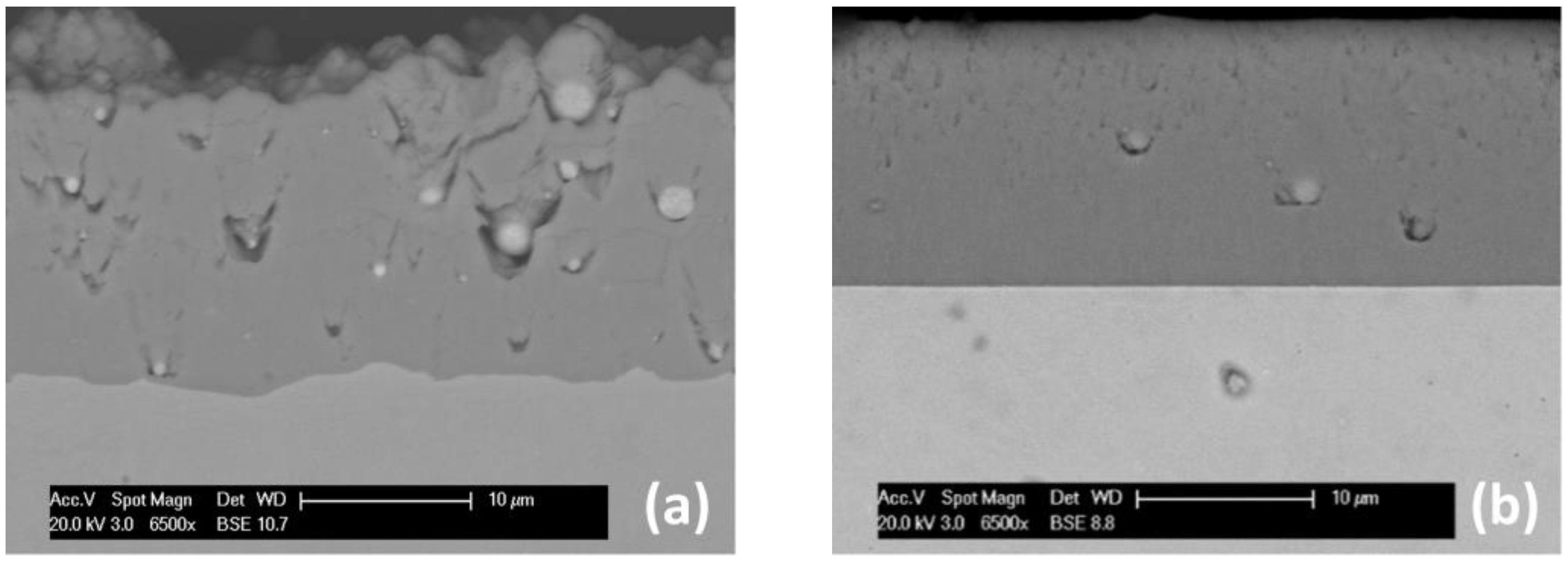 Coatings 13 00619 g003 Coatings 13 00619 g003