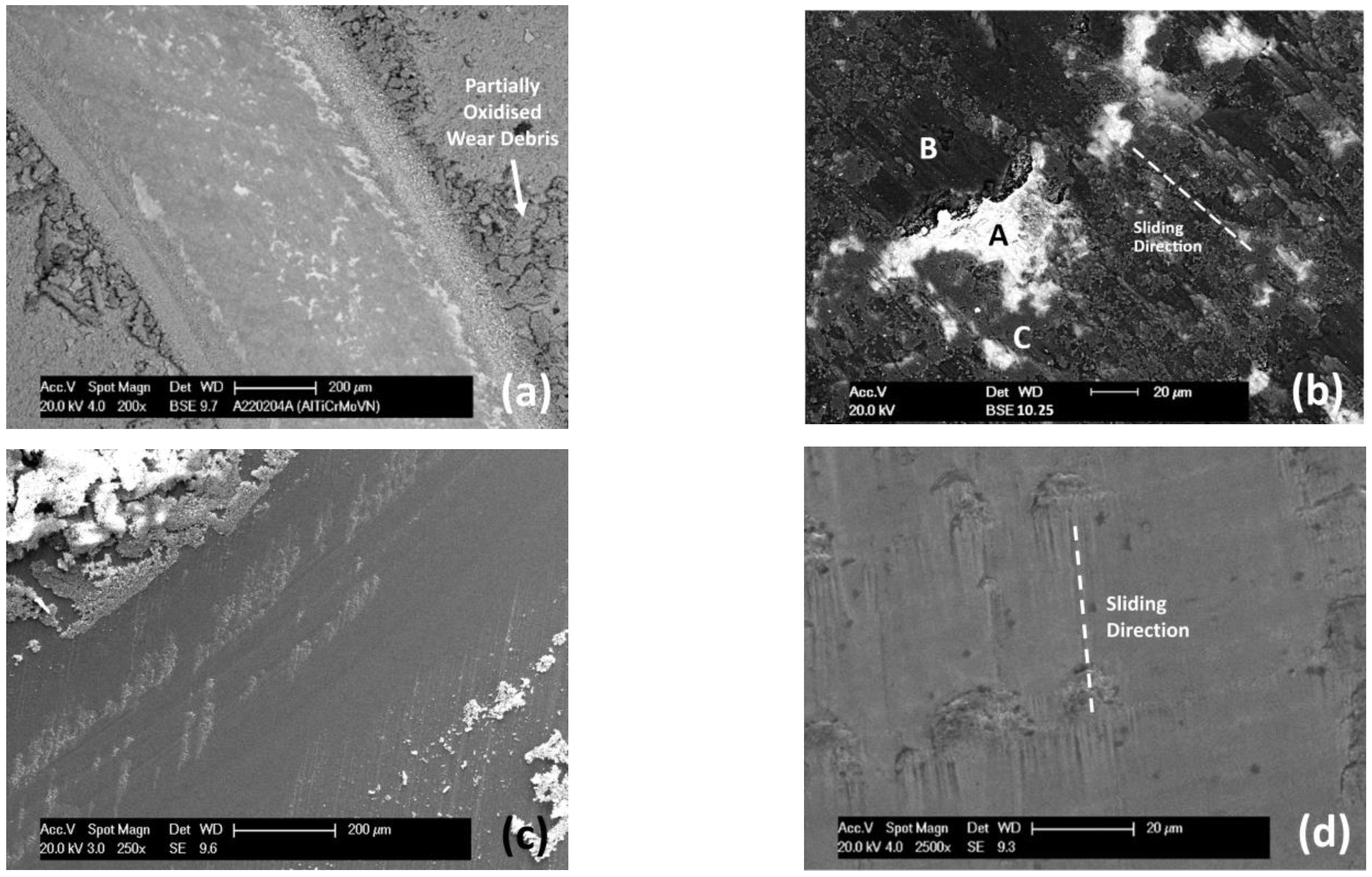 Coatings 13 00619 g010 Coatings 13 00619 g010