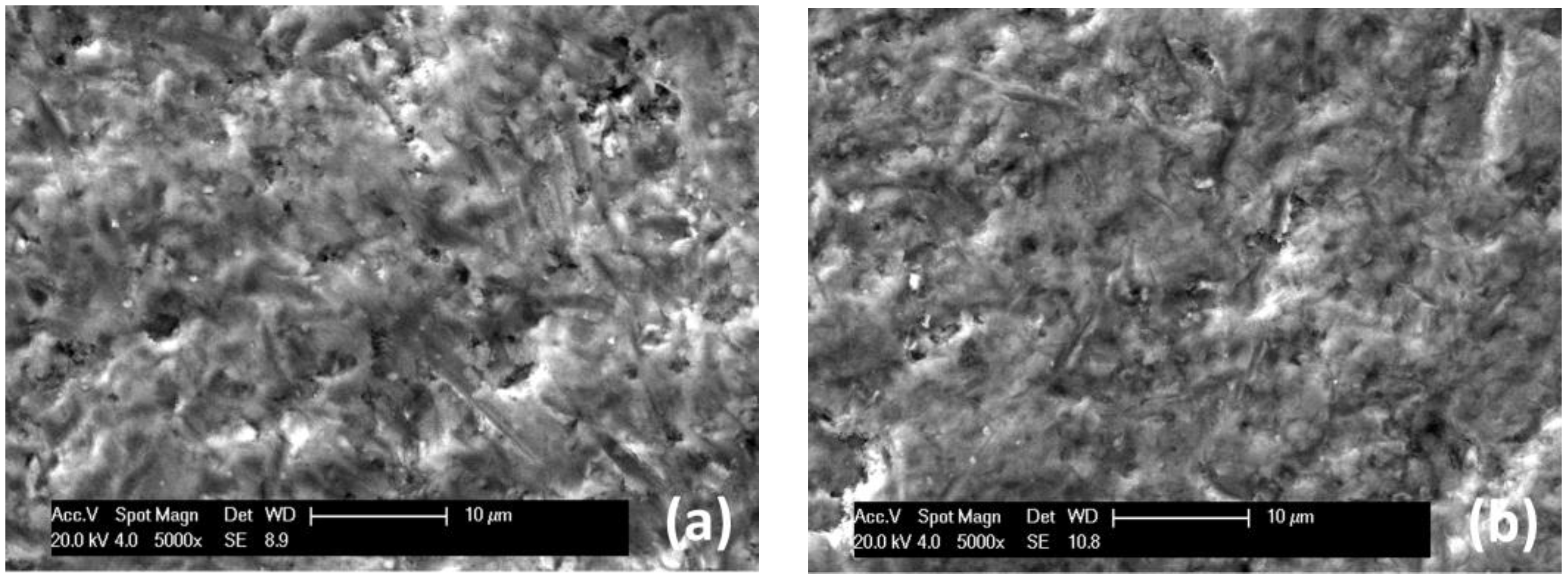 Coatings 13 00619 g013 Coatings 13 00619 g013