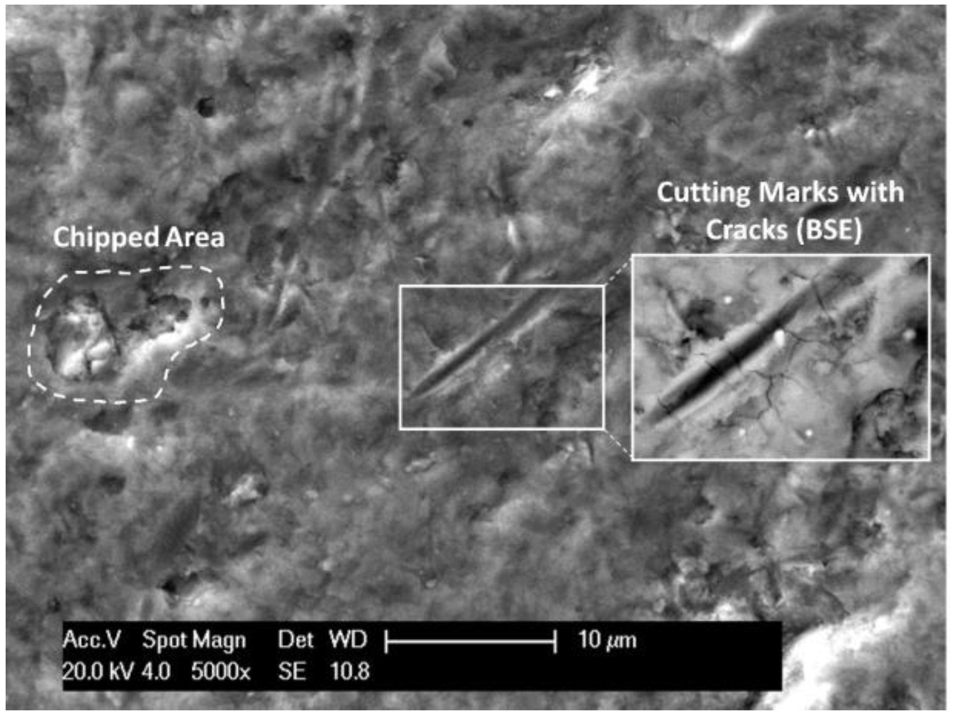 Coatings 13 00619 g014 Coatings 13 00619 g014